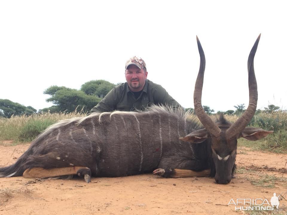 Nyala Hunt South Africa