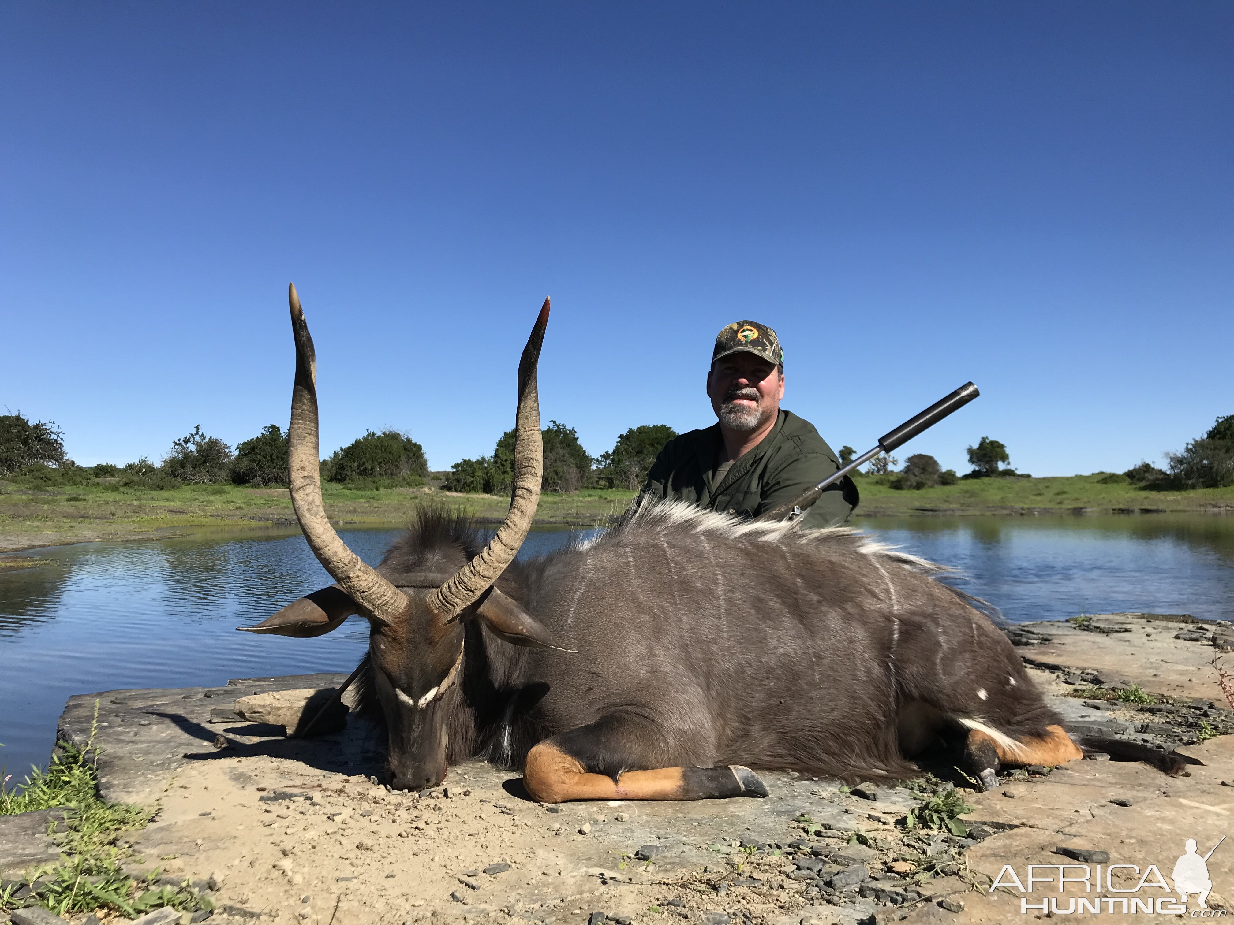 Nyala Hunt South Africa