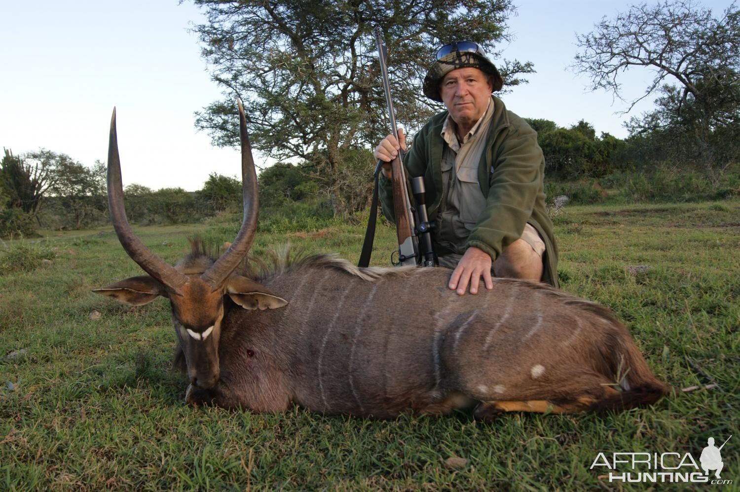 Nyala Hunt South Africa