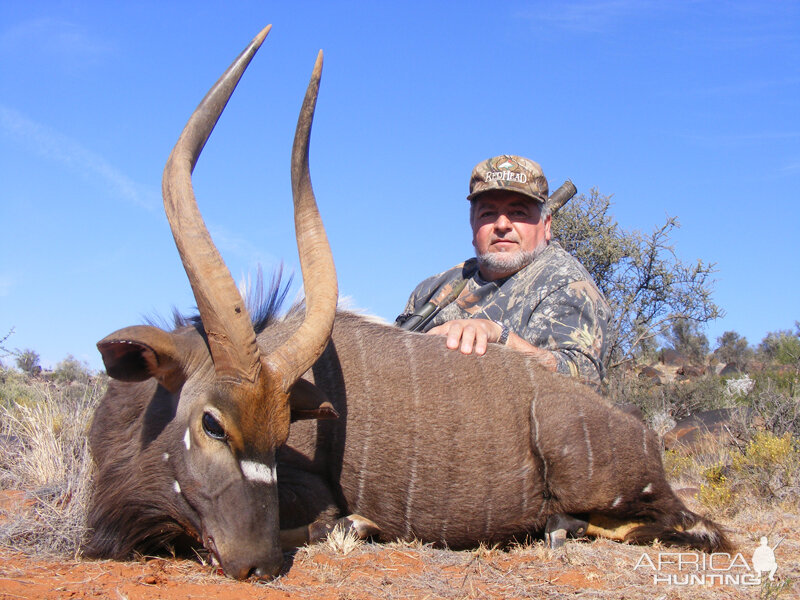 Nyala hunt with Wintershoek Johnny Vivier Safaris