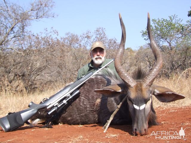 Nyala Hunt