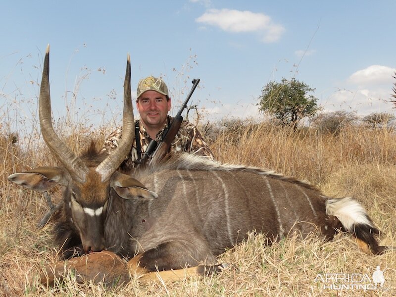 Nyala Hunt