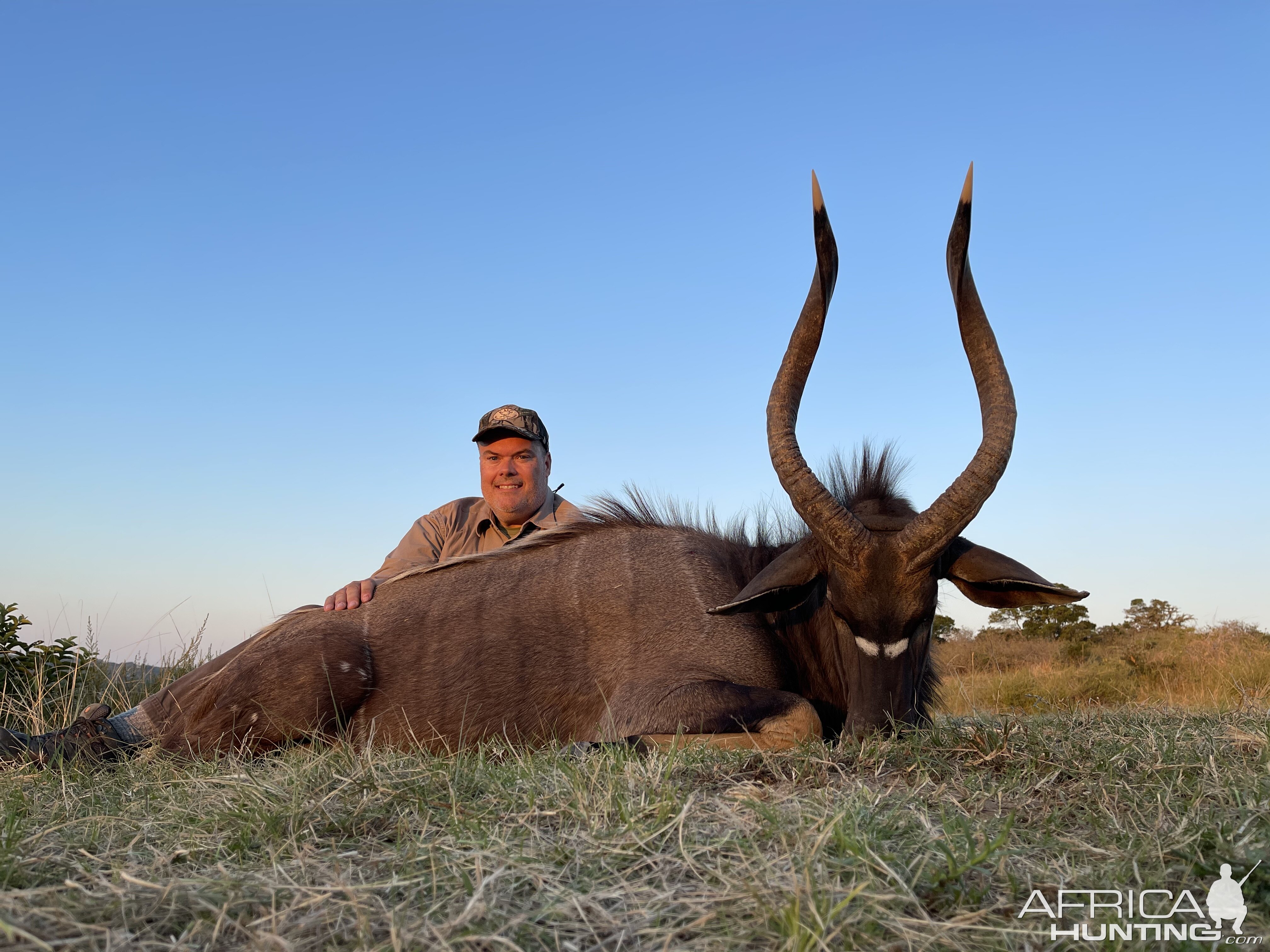 Nyala Hunting Eastern Cape South Africa | AfricaHunting.com