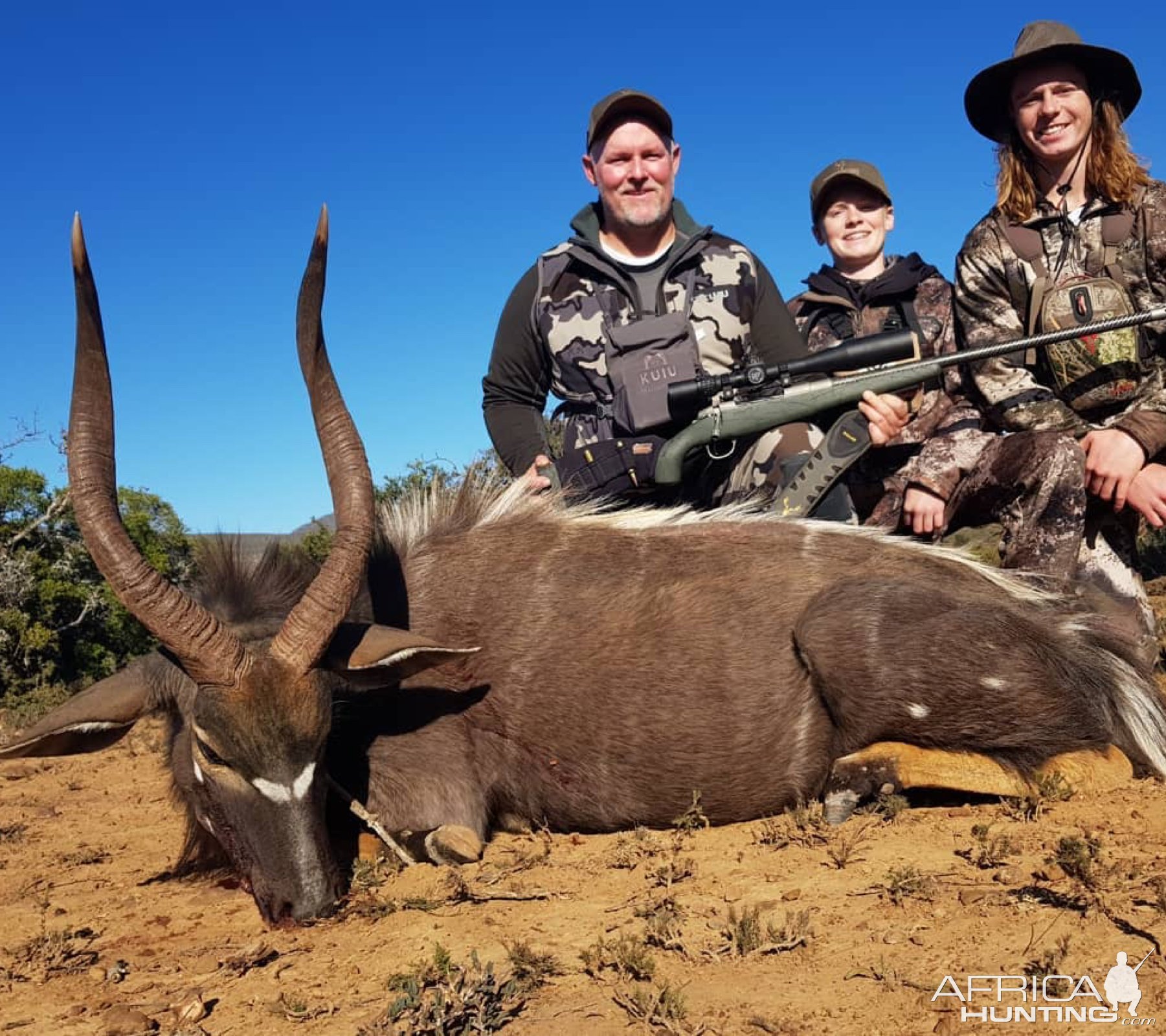 Nyala Hunting Eastern Cape South Africa