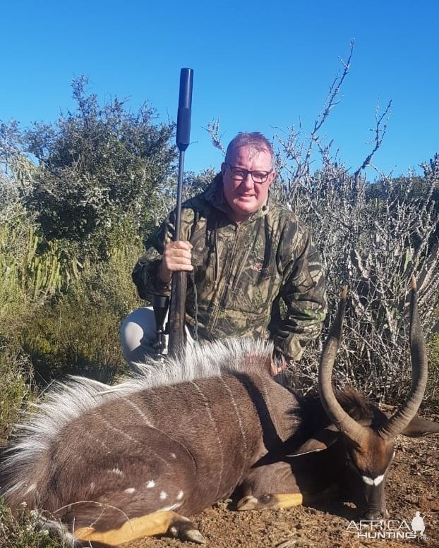 Nyala Hunting Eastern Cape South Africa