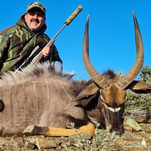 Nyala Hunting Eastern Cape South Africa