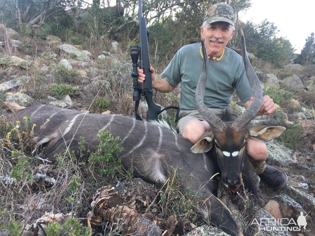 Nyala Hunting In South Africa