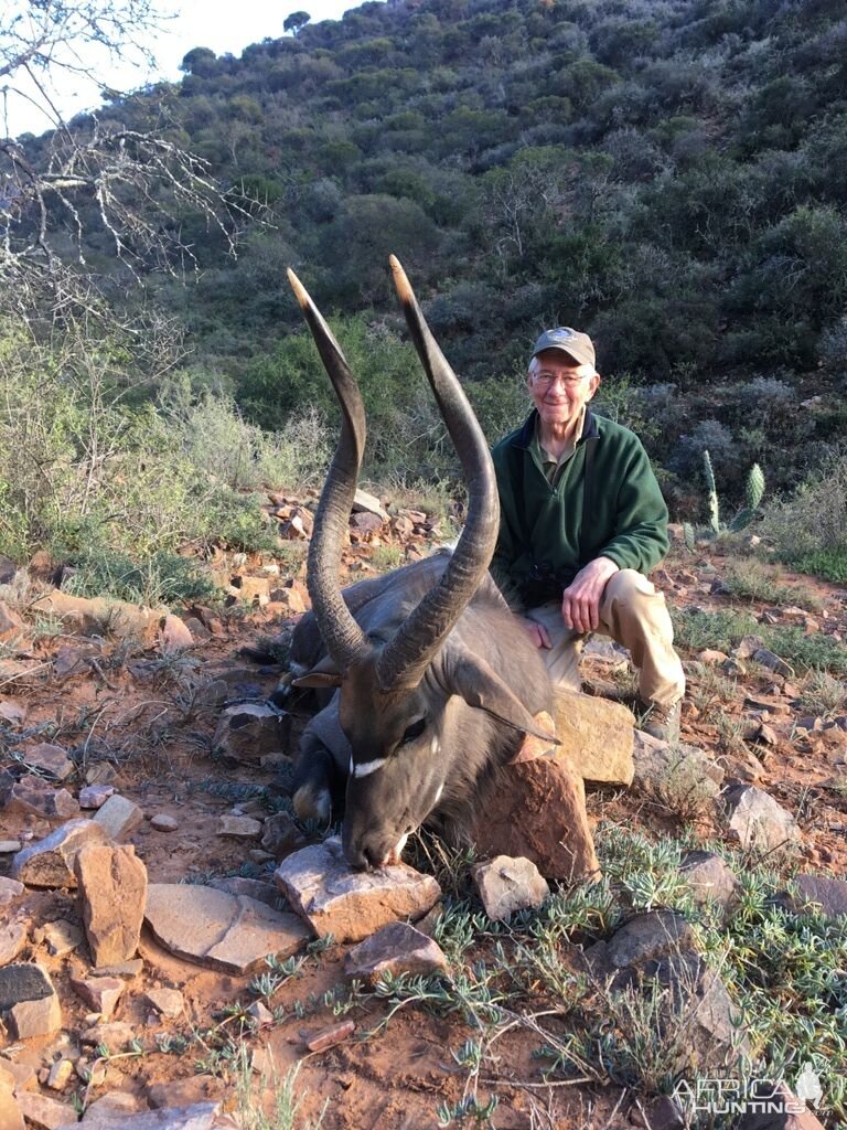 Nyala Hunting in South Africa