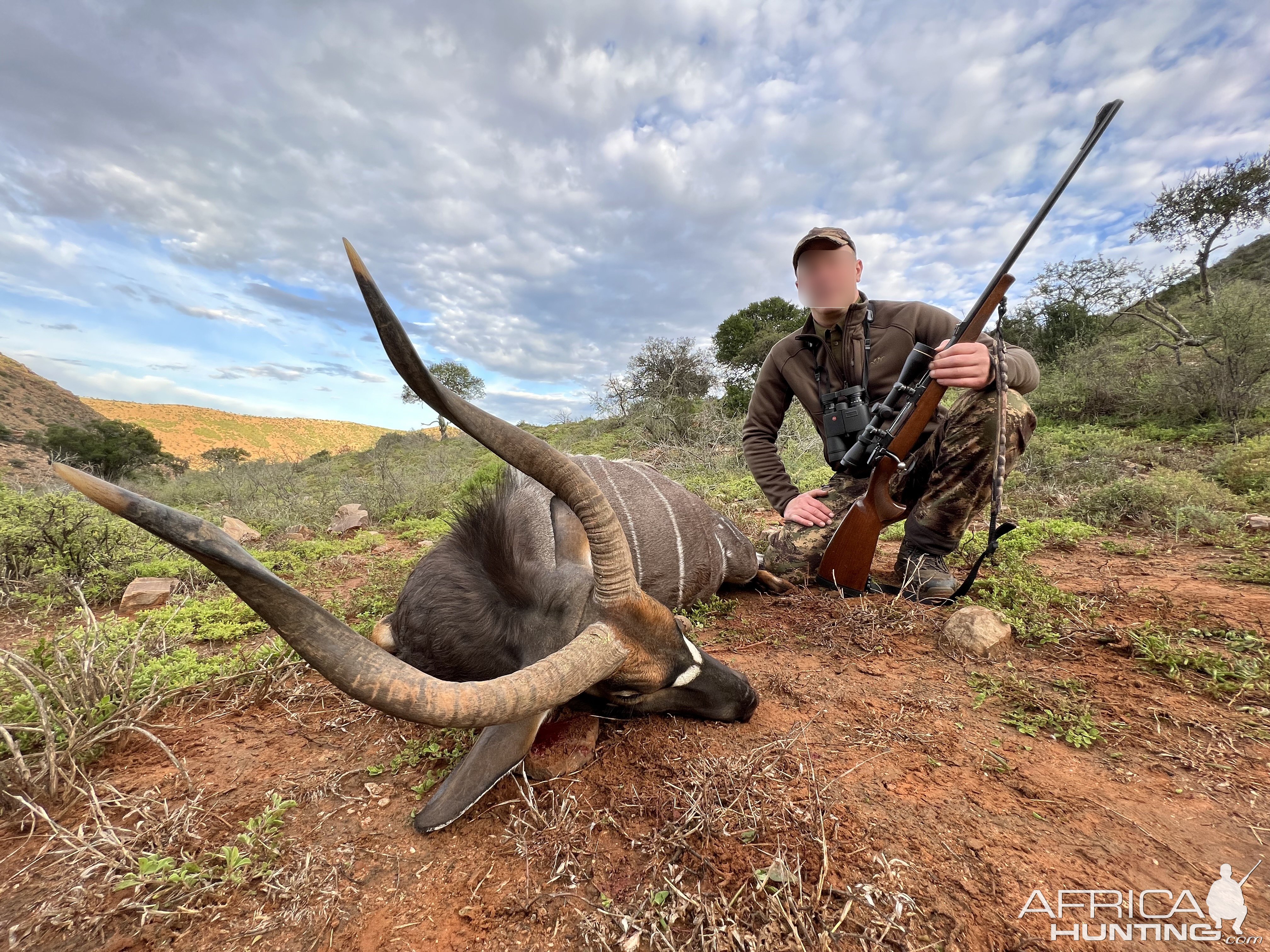 Nyala Hunting Karoo South Africa