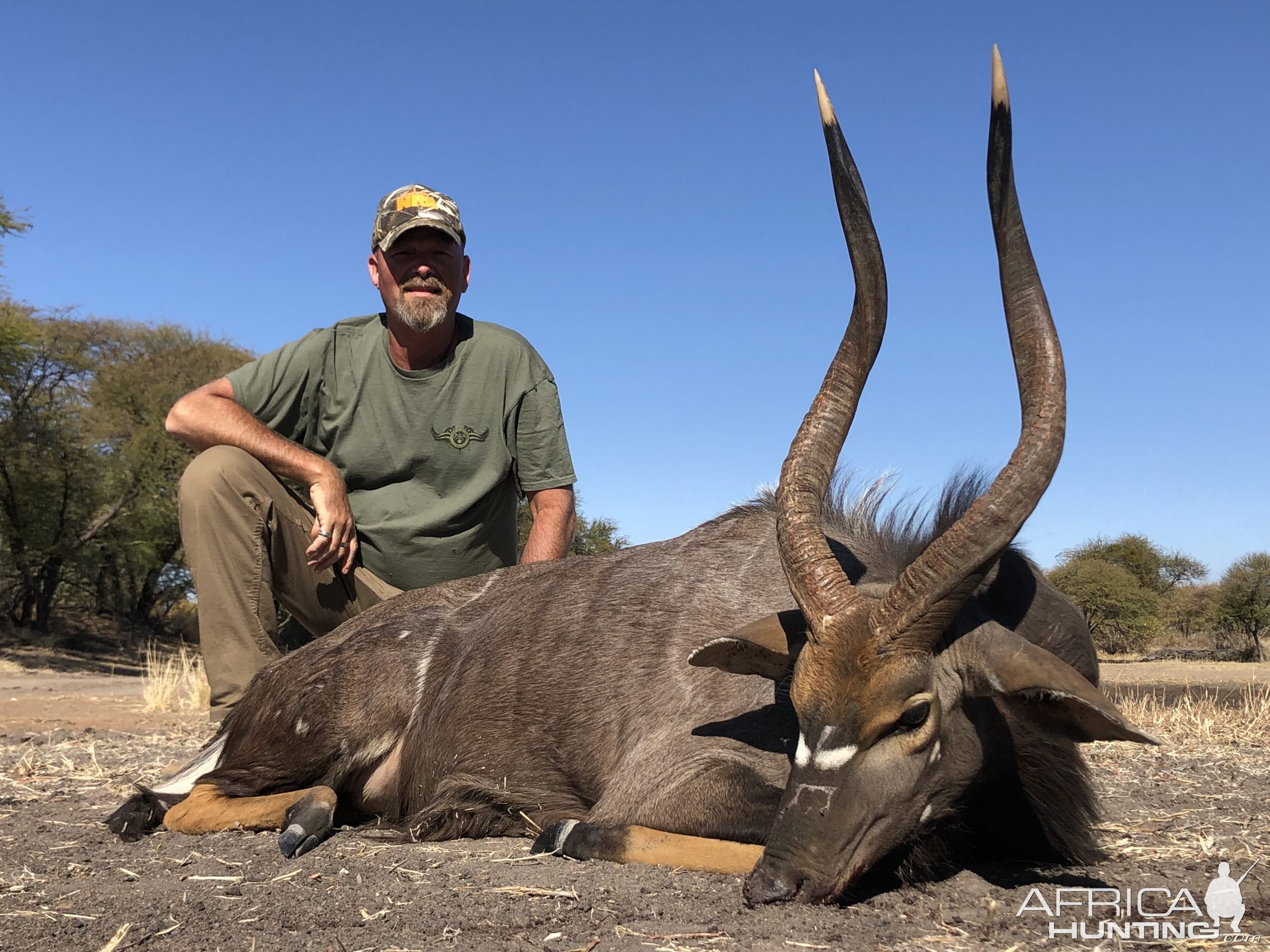 Nyala Hunting Limpopo South Africa