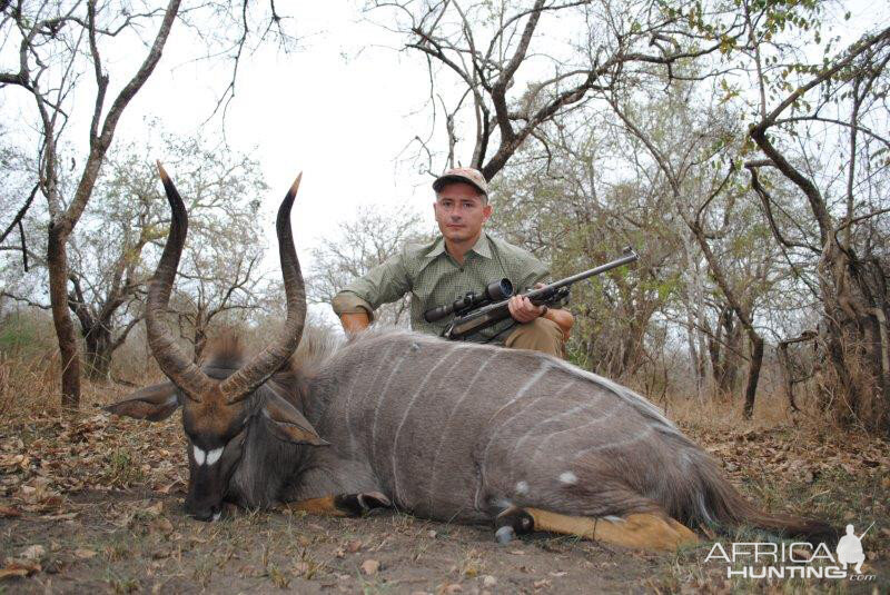 Nyala Hunting Mozambique