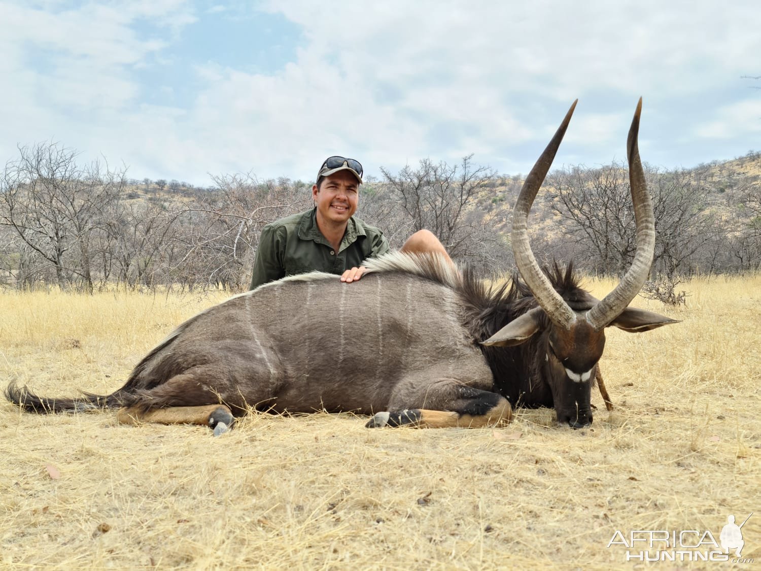 Nyala Hunting Namibia