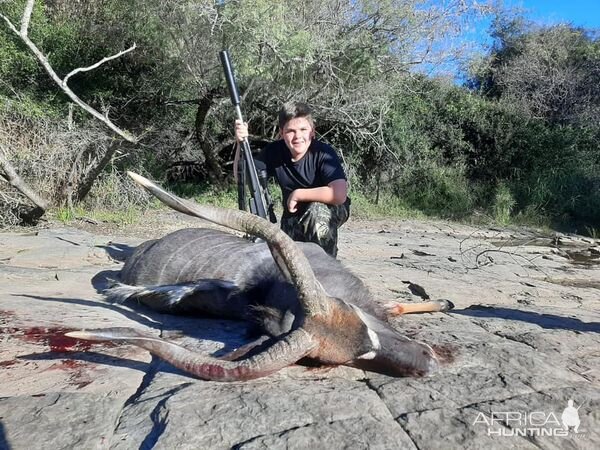 Nyala Hunting South Africa