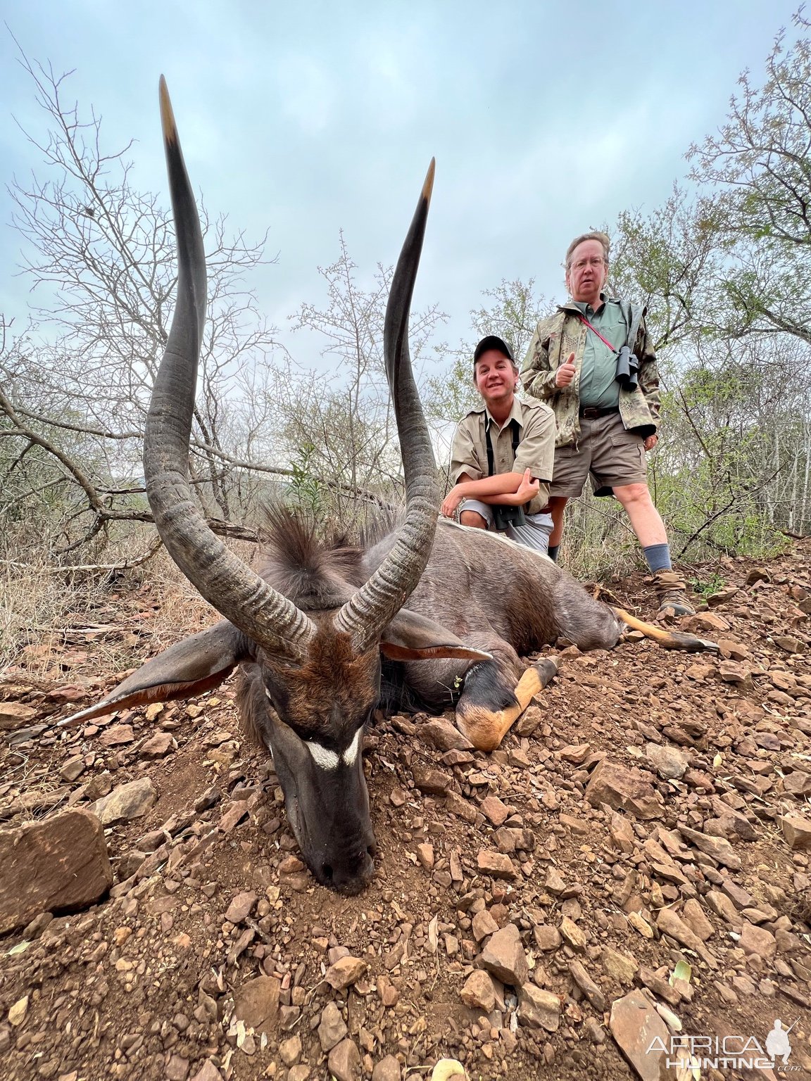 Nyala Hunting South Africa