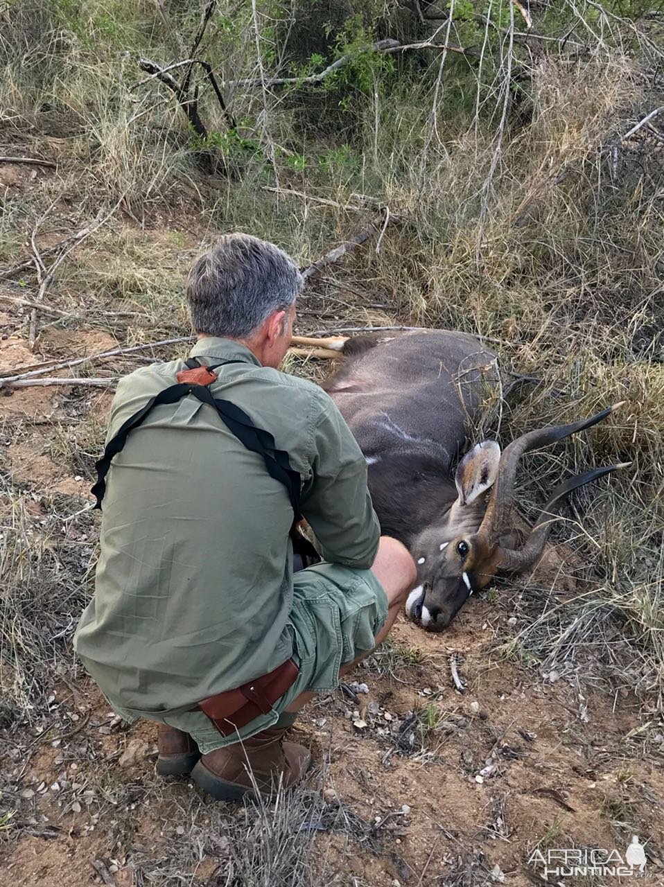 Nyala Hunting South Africa