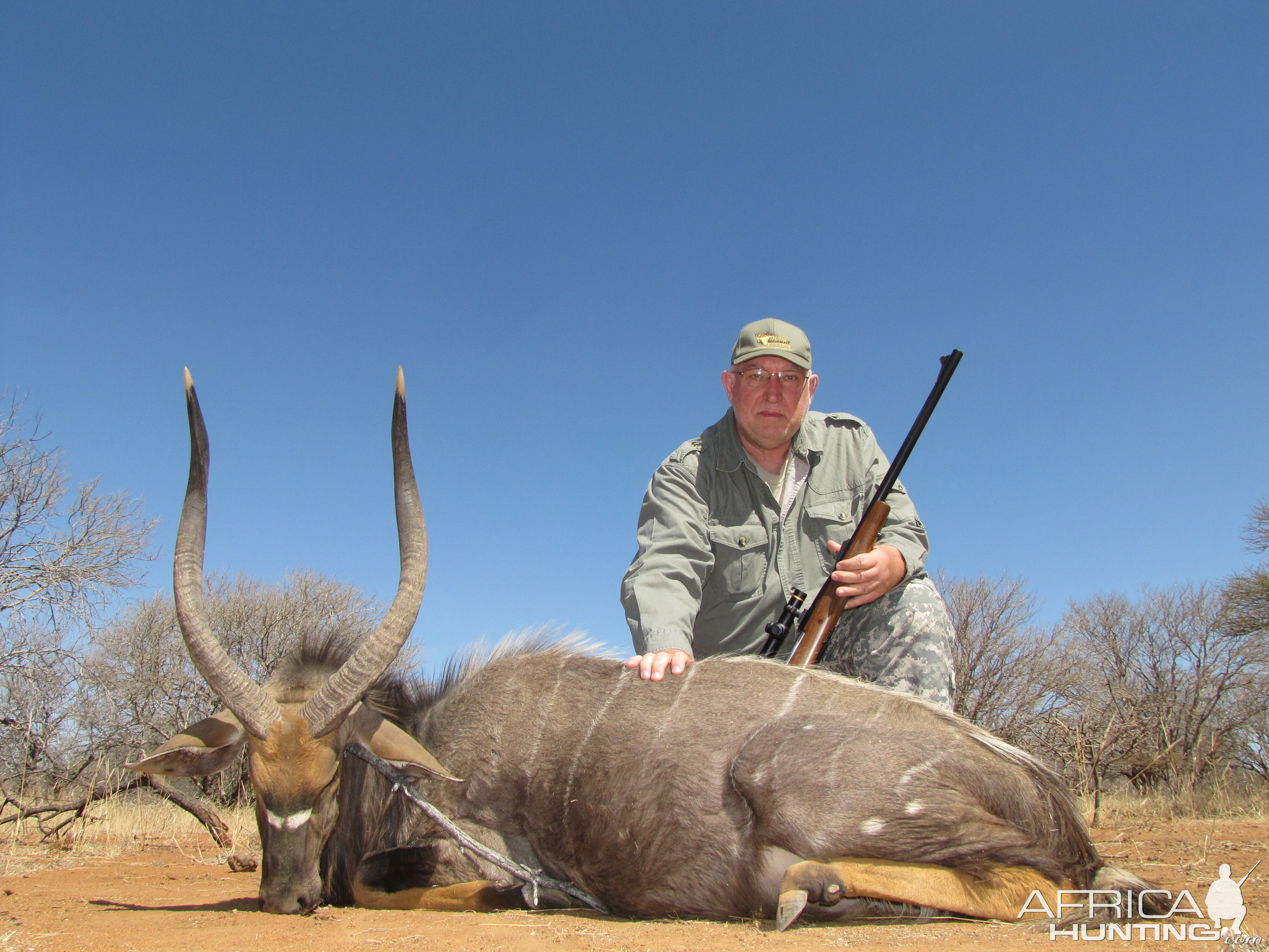 Nyala Hunting South Africa