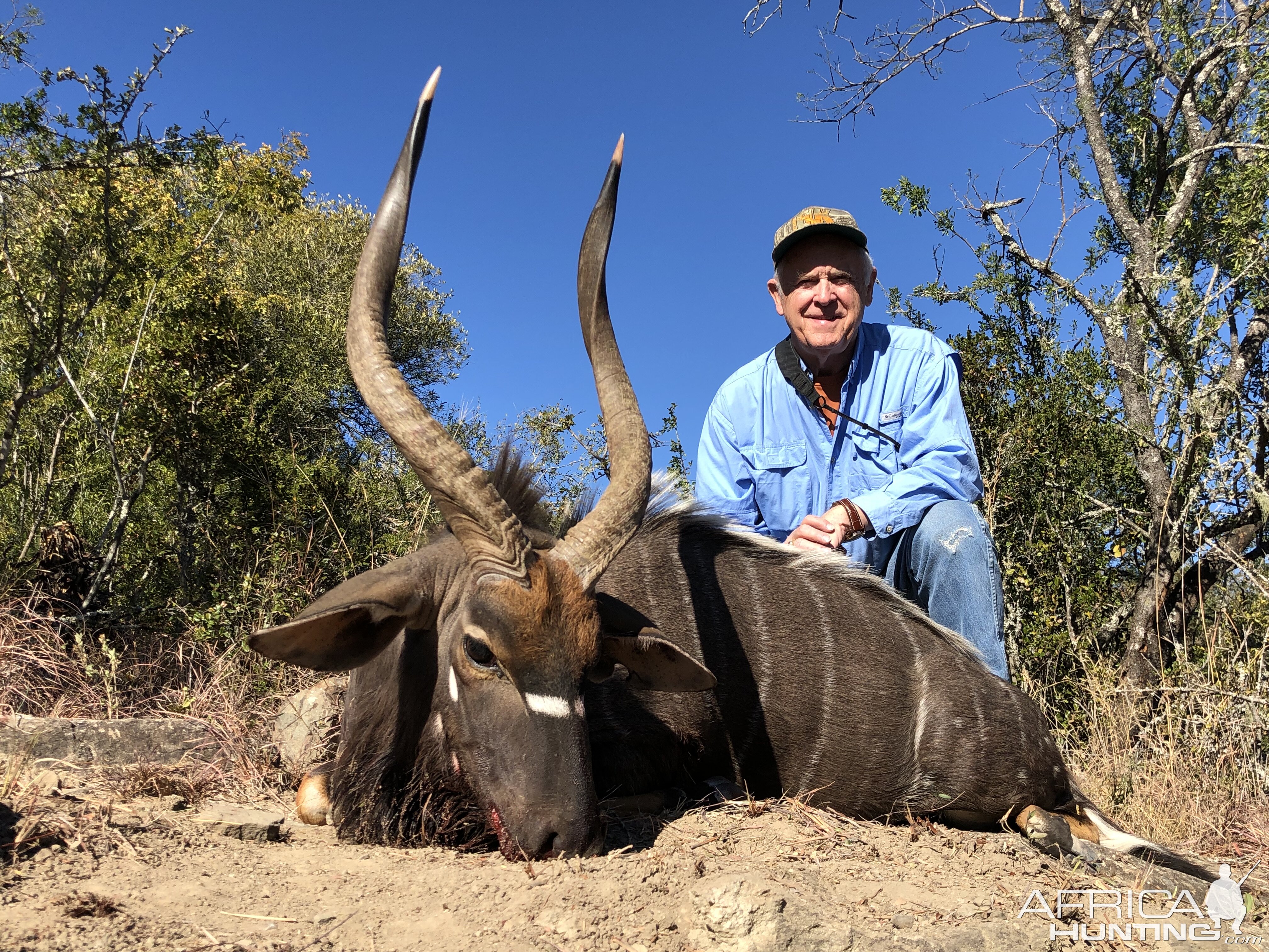 Nyala Hunting South Africa