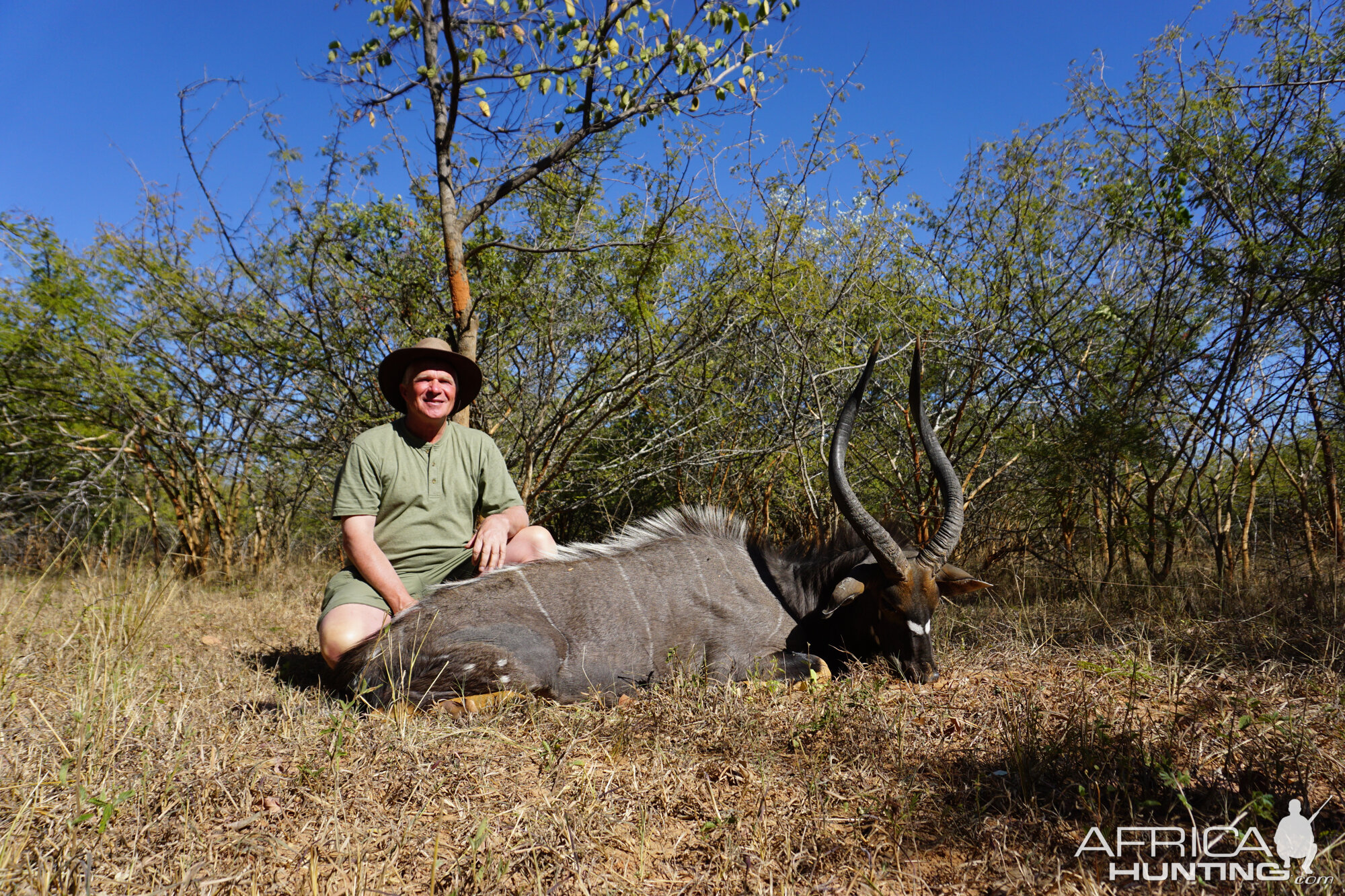 Nyala Hunting Zambia