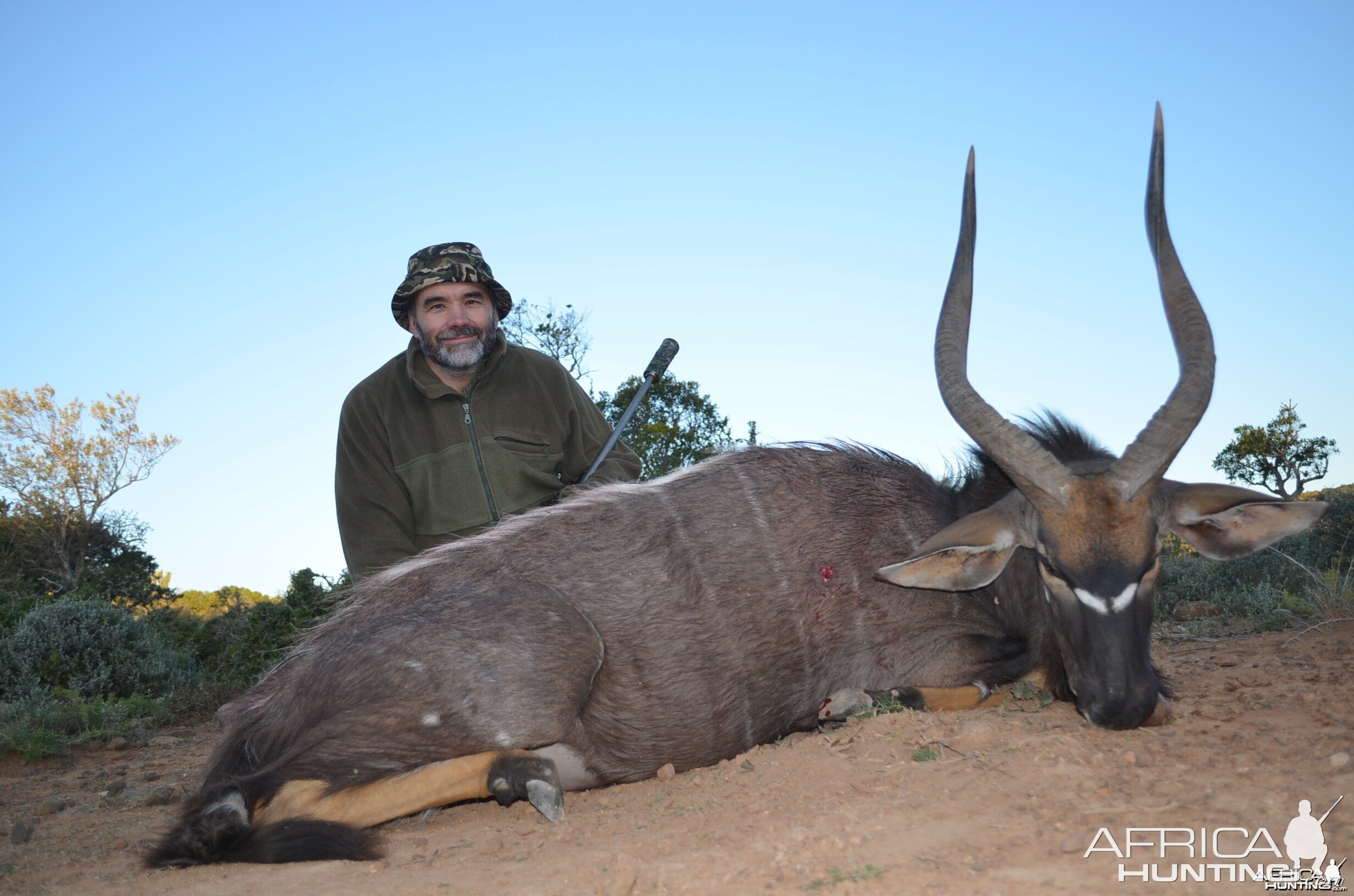 Nyala KMG Hunting Safaris