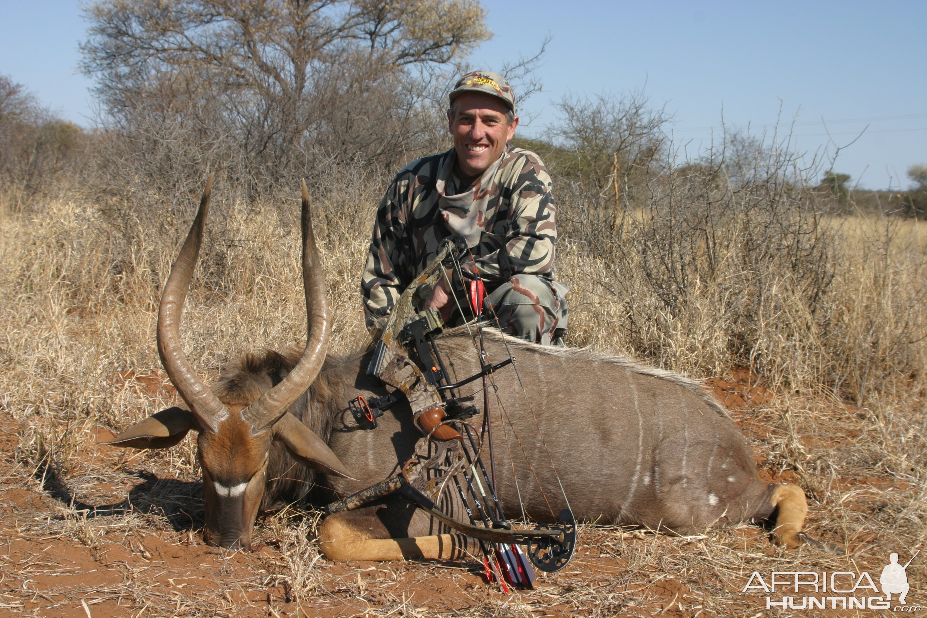 Nyala-Limpopo