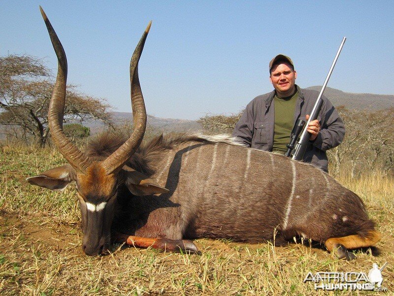 Nyala