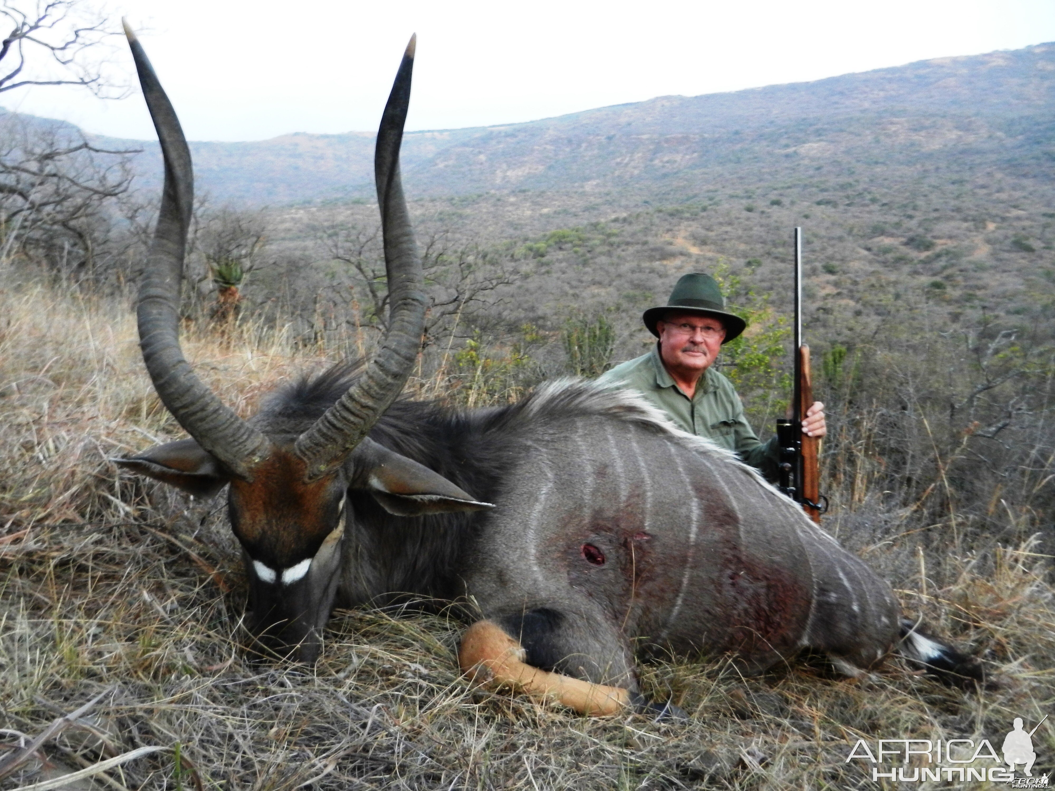 Nyala