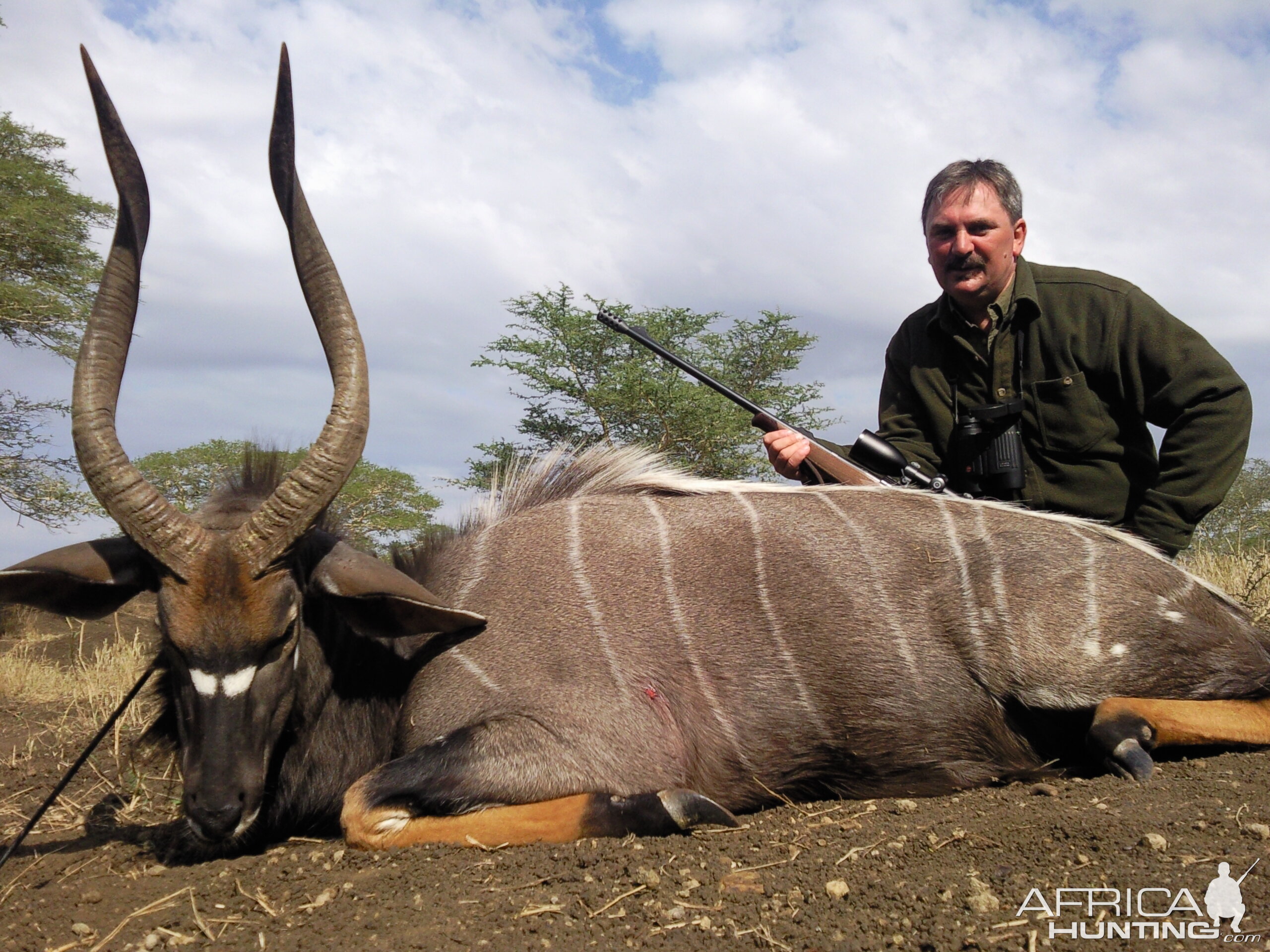 Nyala