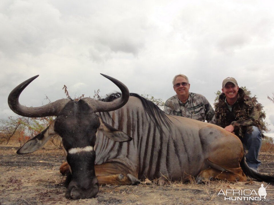 Nyasa Wildebeest Tanzania  Hunt