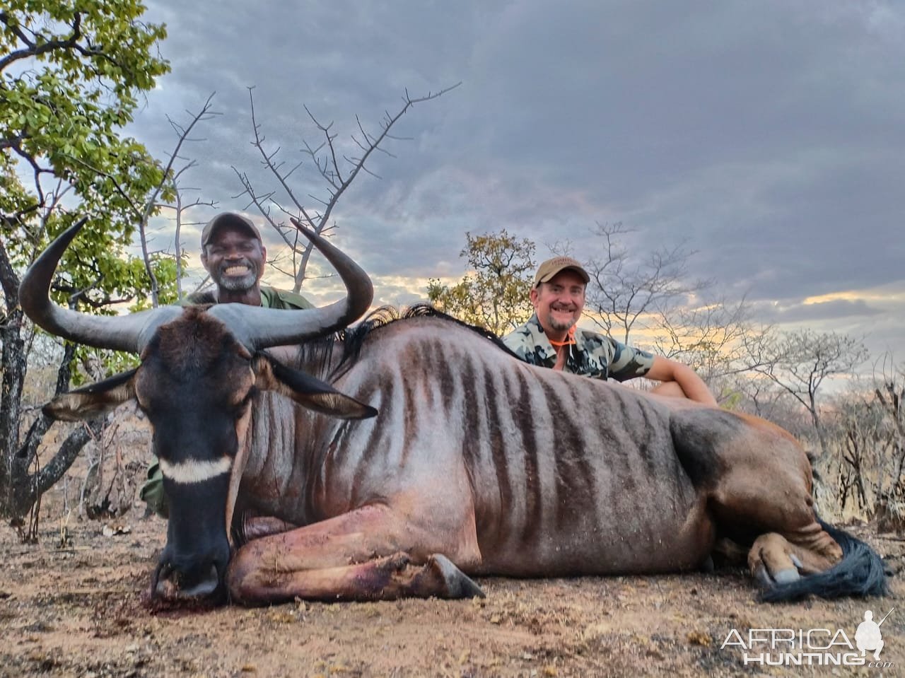 Nyasaland Wildebeest Hunt Mozambique