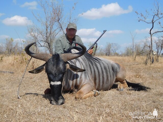 Nyassa Wildebeest Hunt