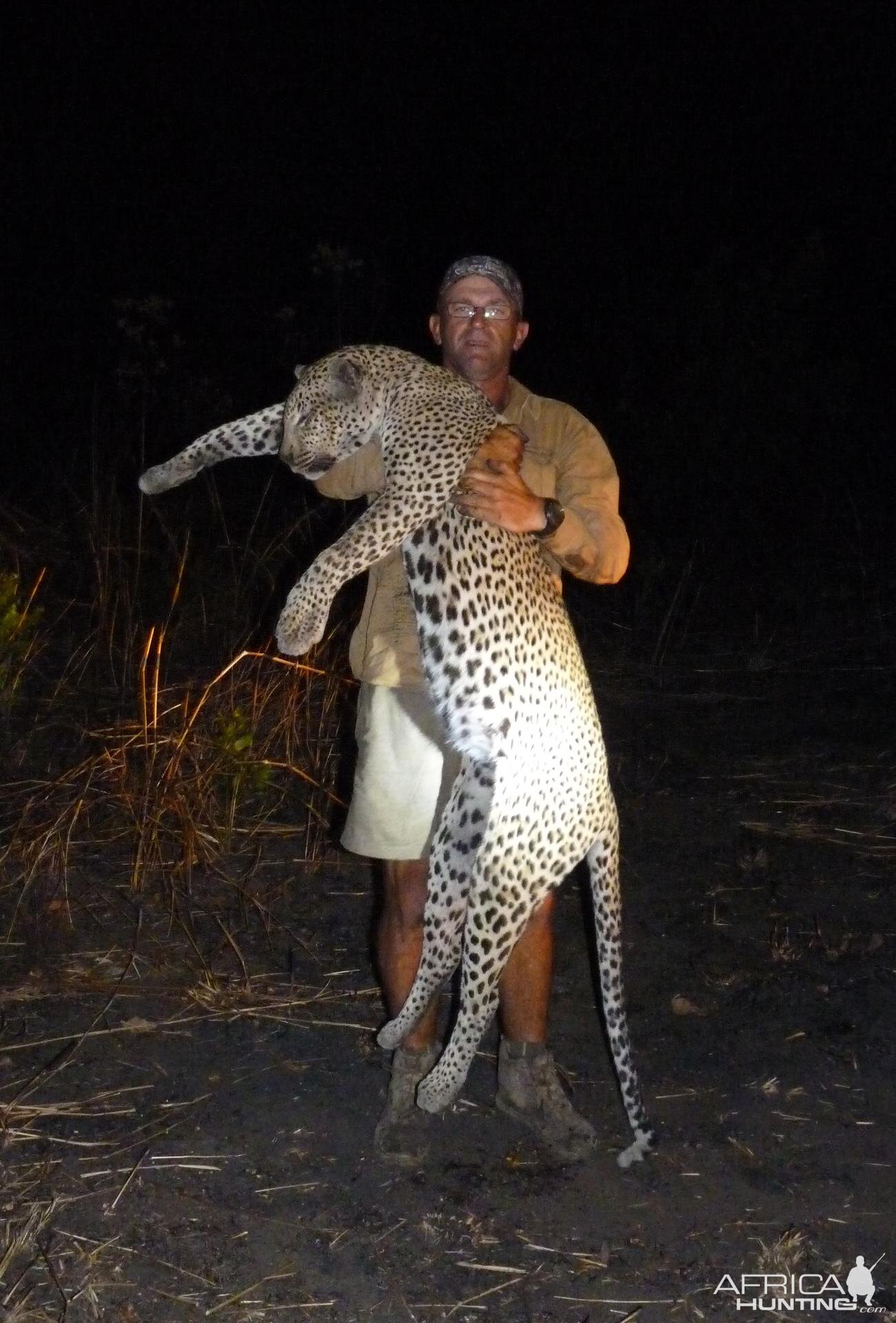 Old Leopard hunted in the Selous, Tanzania