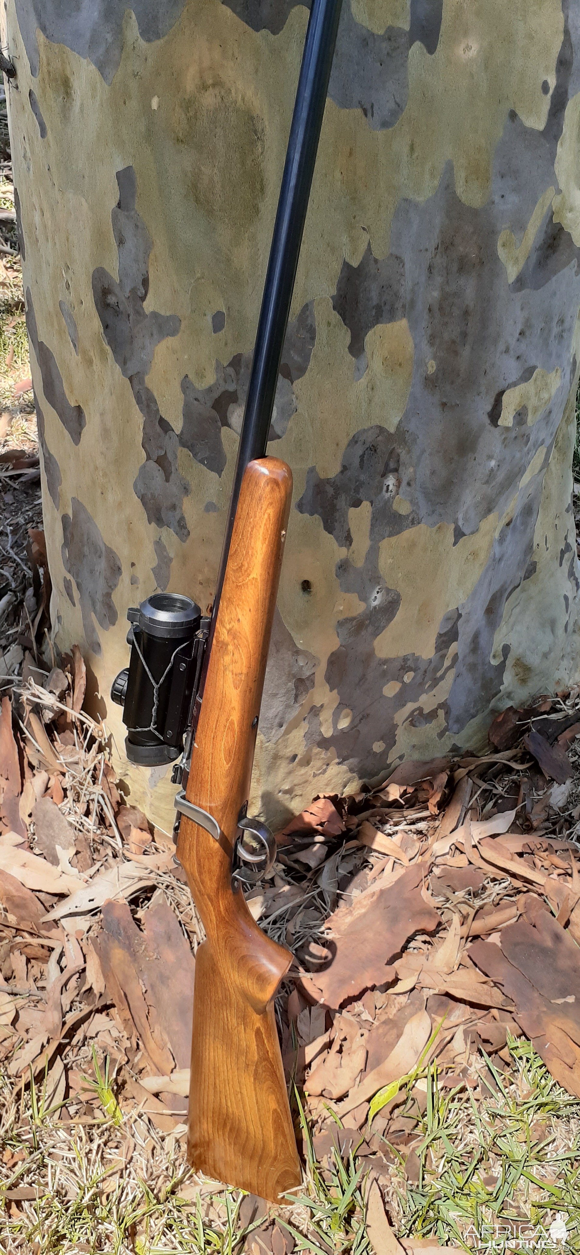 Old single shot Anshultz Rifle