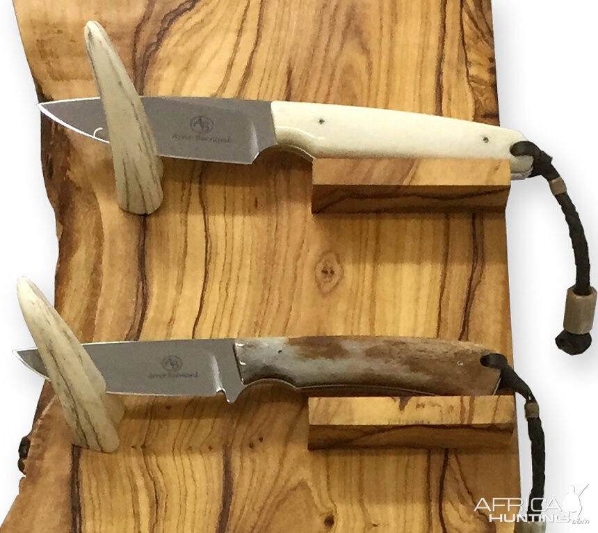 Olivewood 6-Knife Display