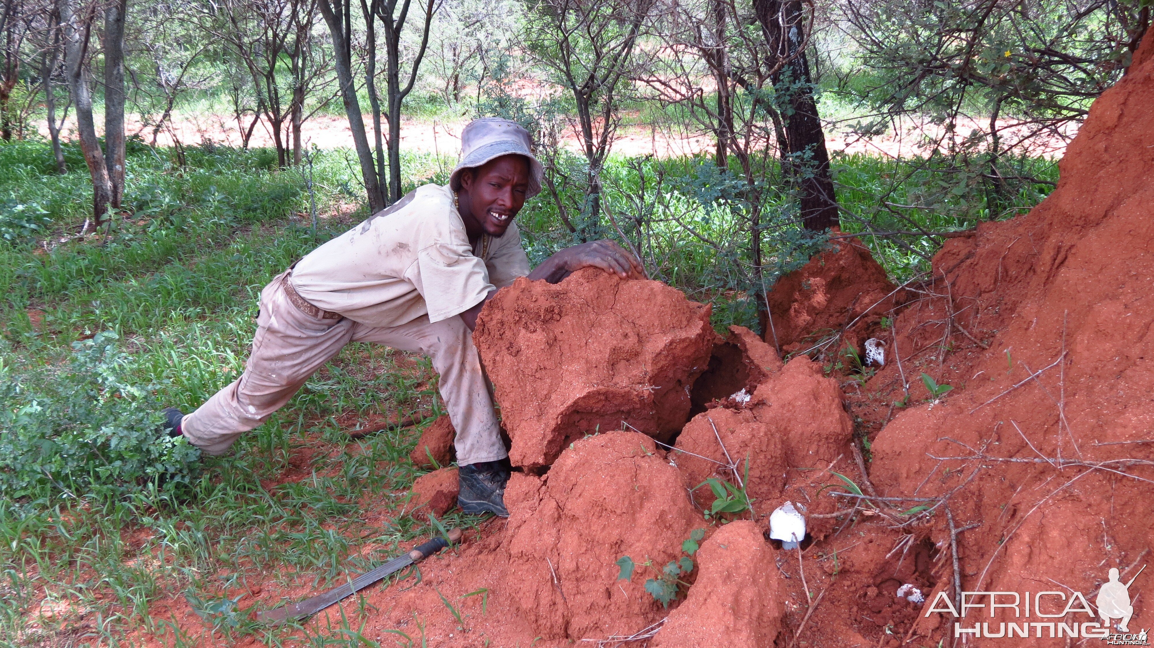 Omajowa termite hill mushrooms Namibia