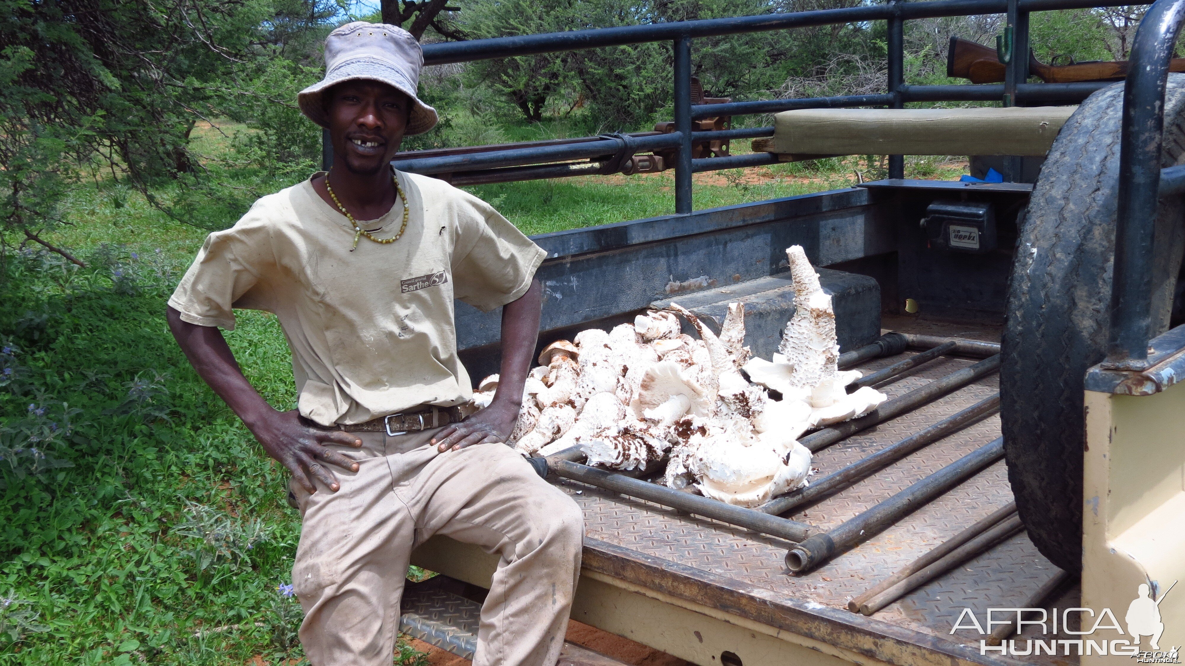 Omajowa termite hill mushrooms Namibia