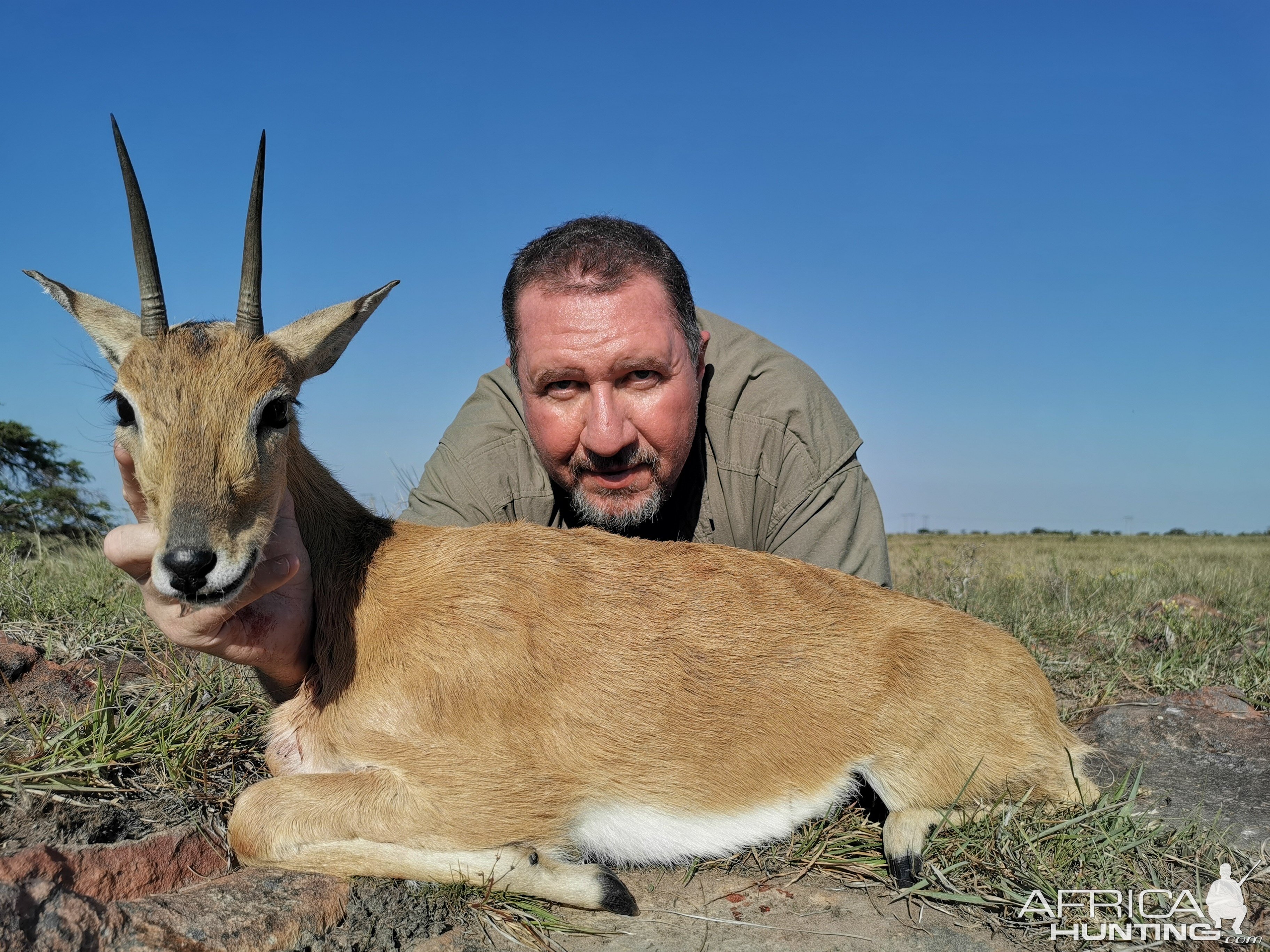 Oribi Hunt South Africa