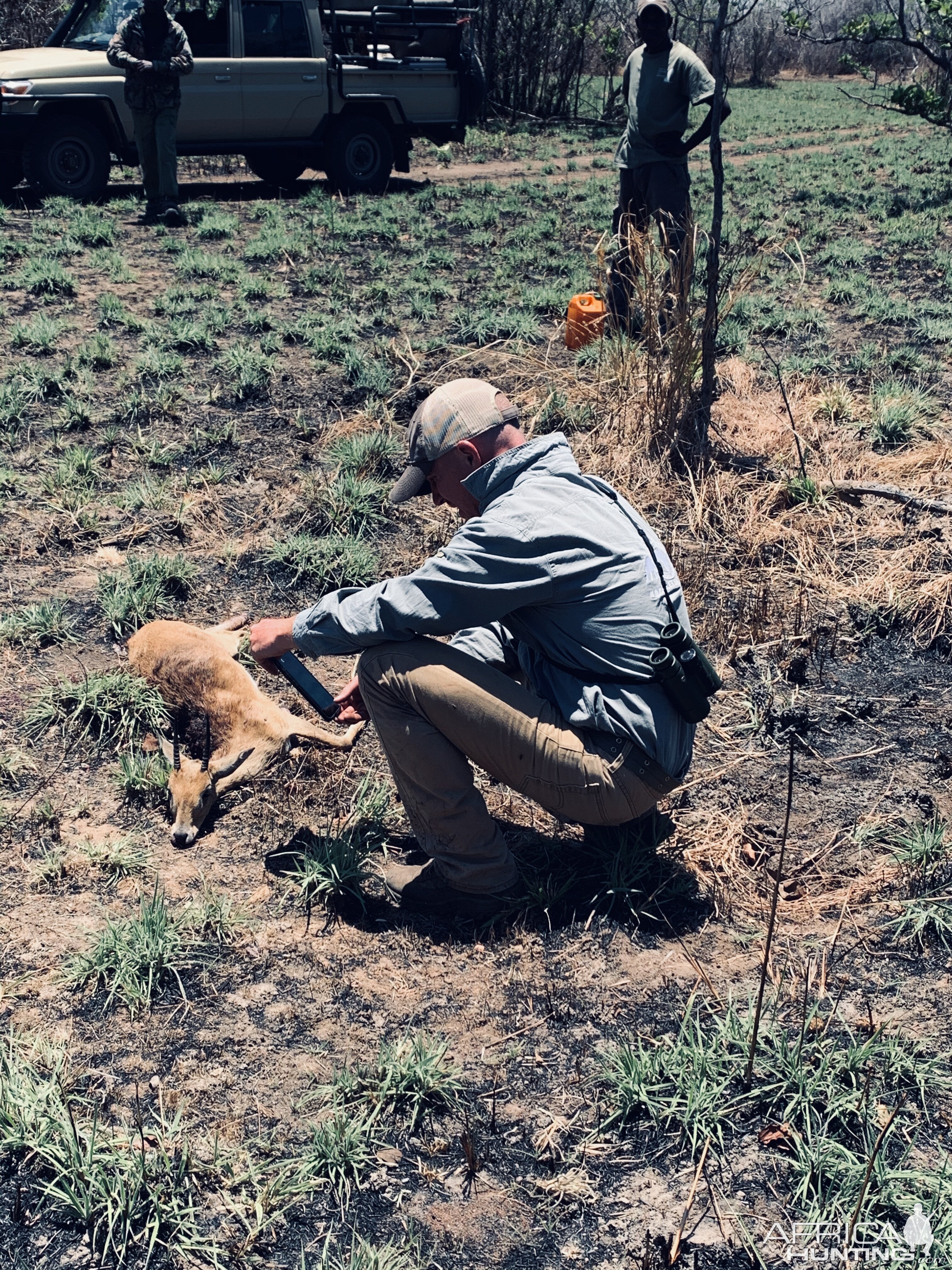 Oribi Hunt Tanzania