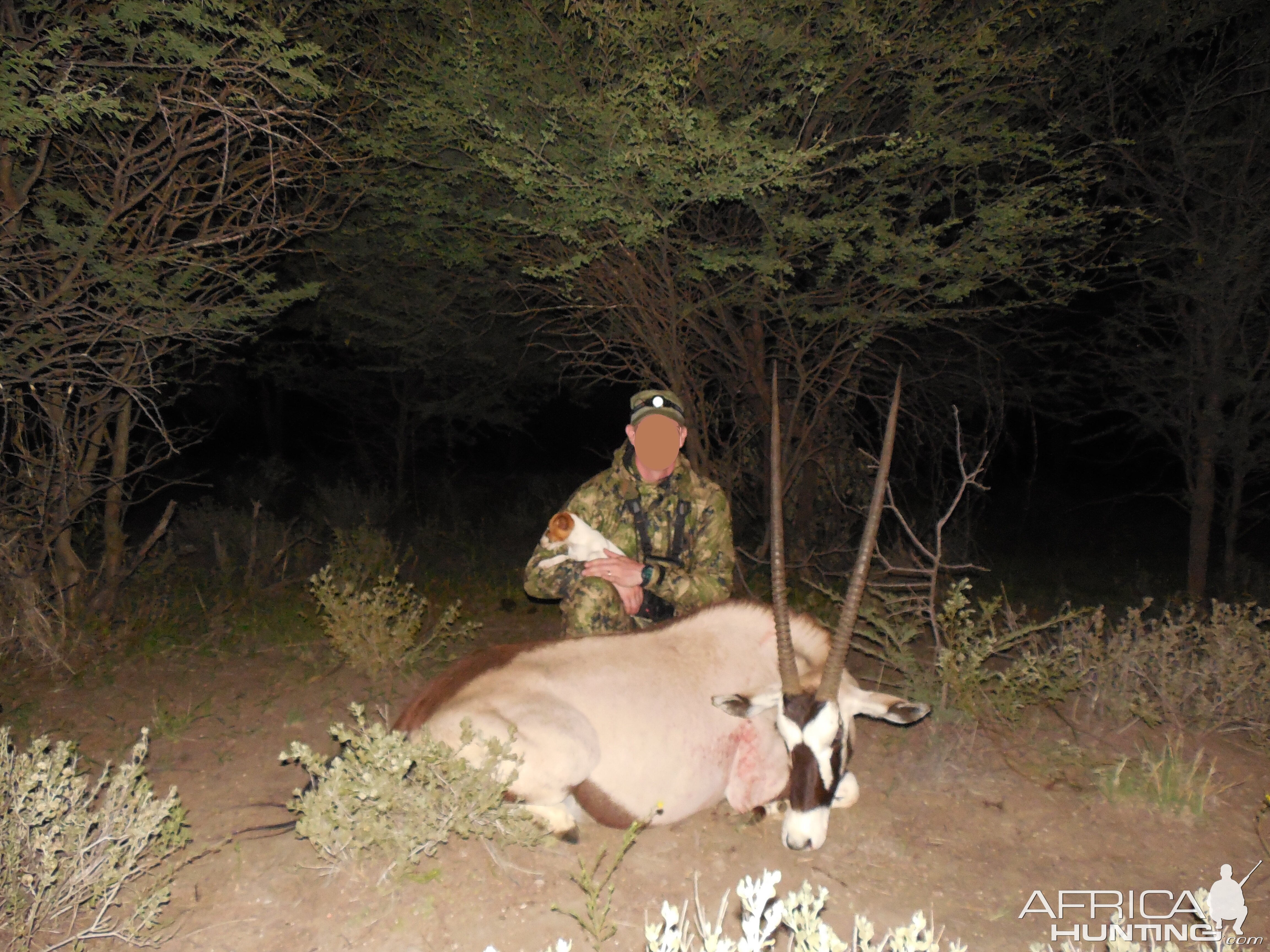 Oryx female