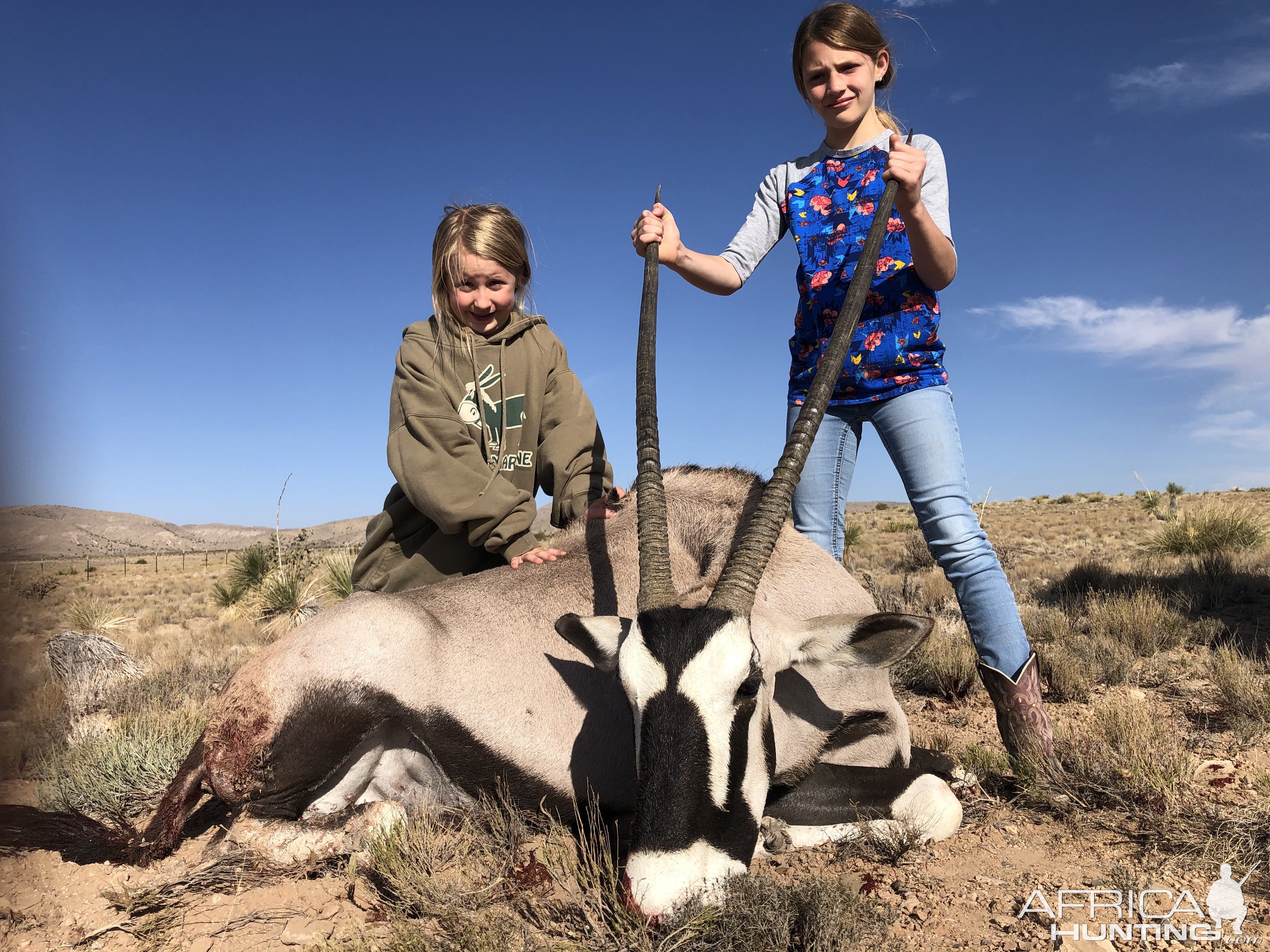 Oryx Hunting New Mexico