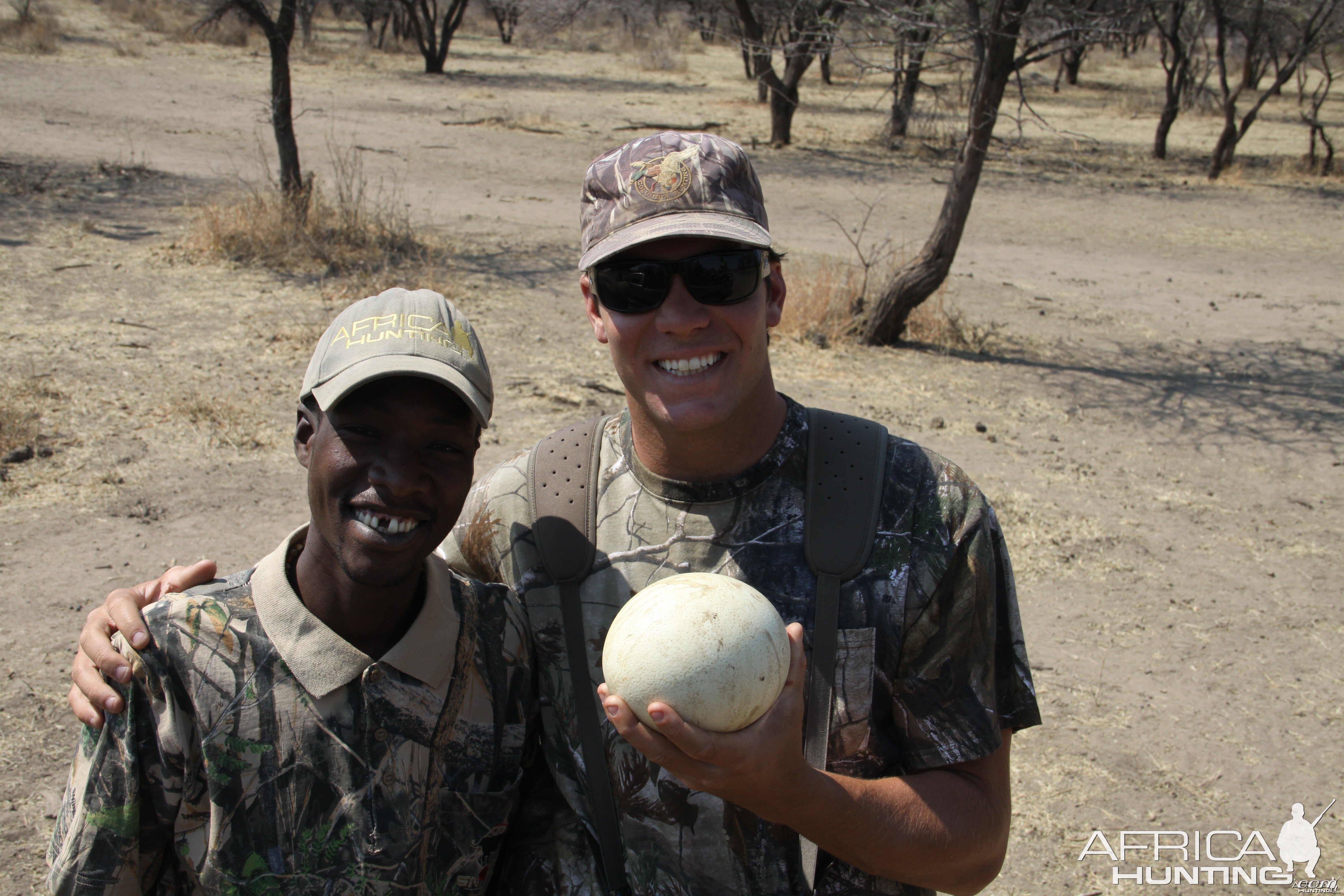 Ostrich egg Namibia