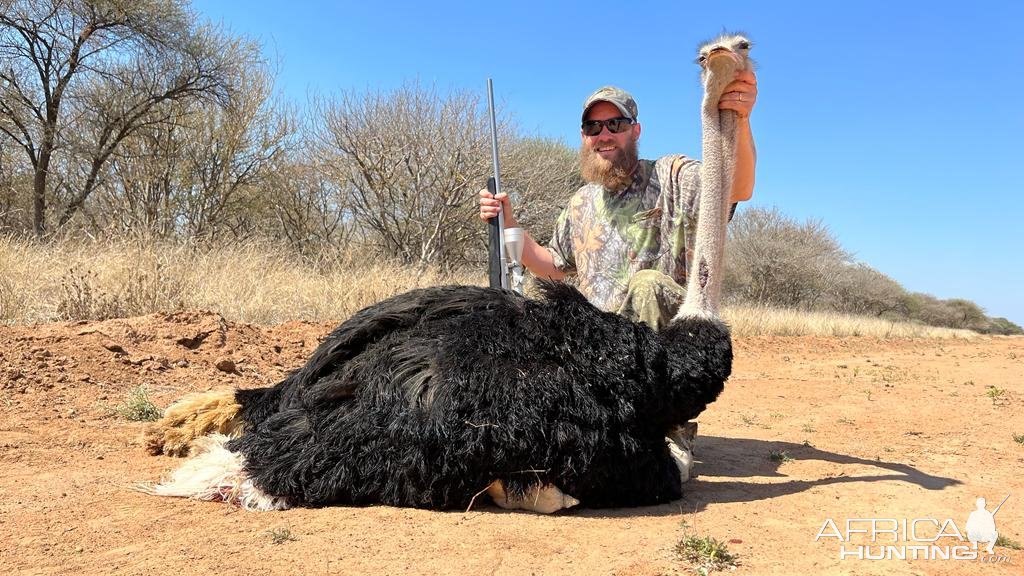 Ostrich Hunt South Africa