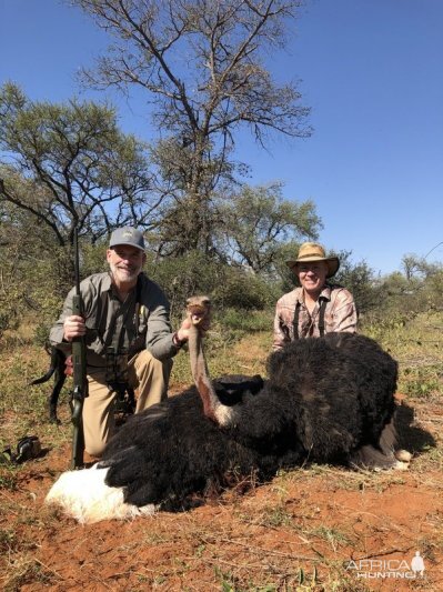 Ostrich Hunt South Africa