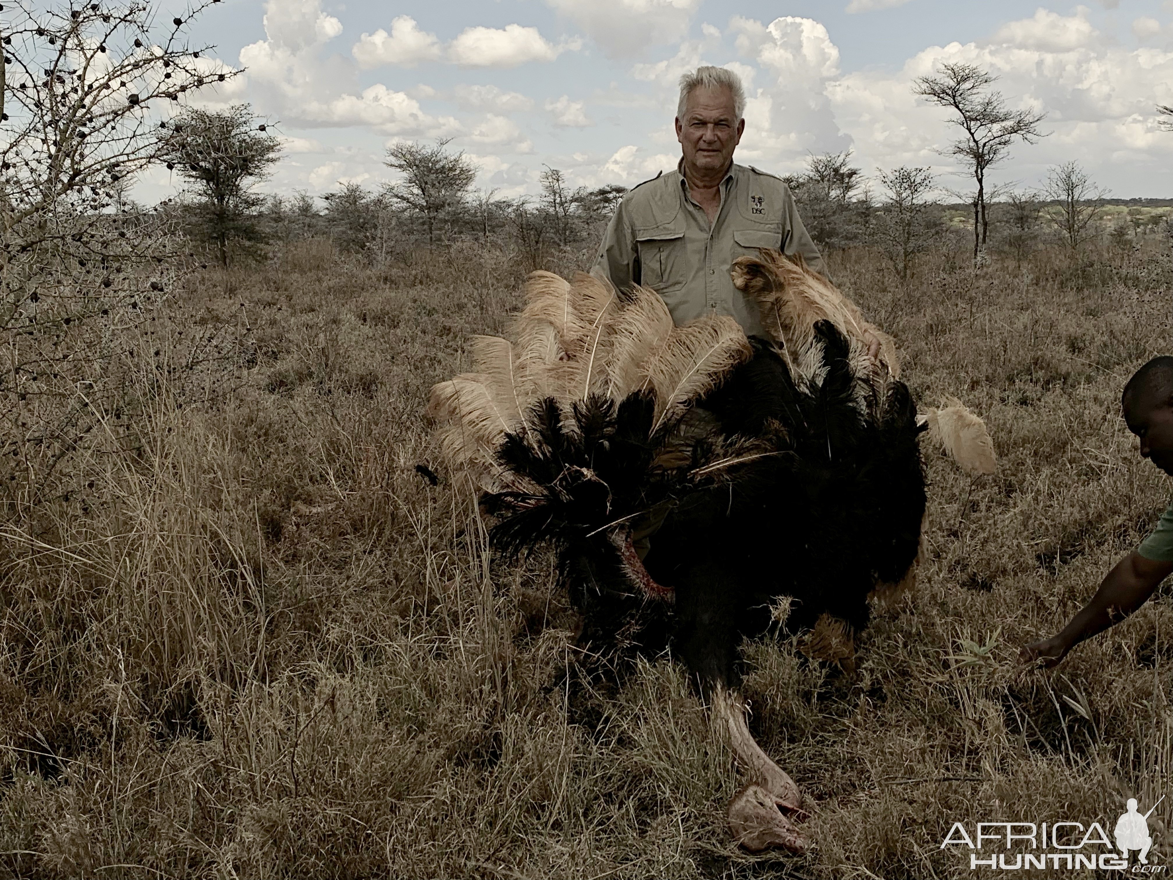 Ostrich Hunt Tanzania