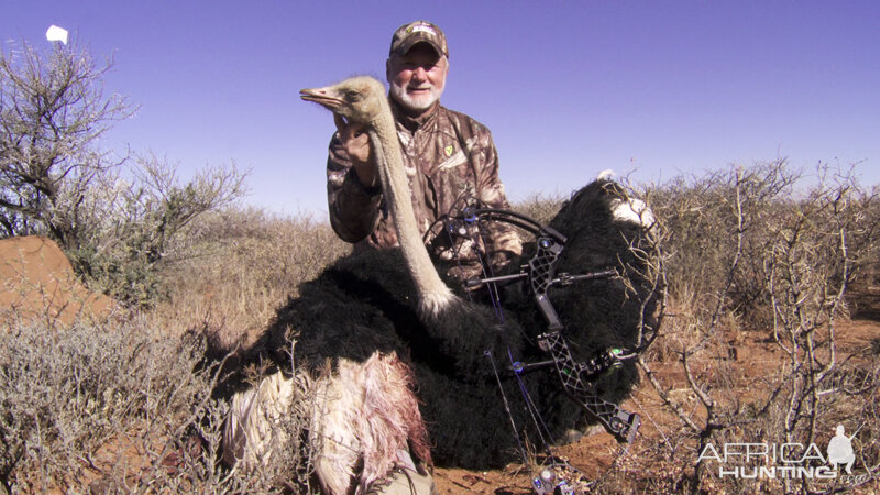 Ostrich hunt with Wintershoek Johnny Vivier Safaris