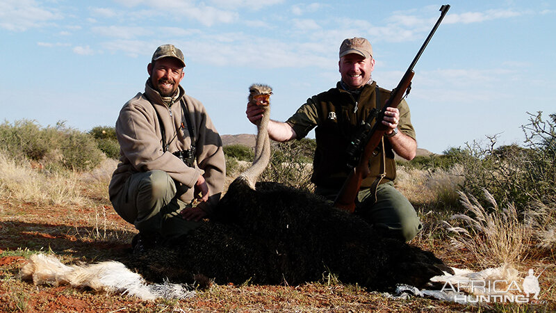 Ostrich hunt with Wintershoek Johnny Vivier Safaris