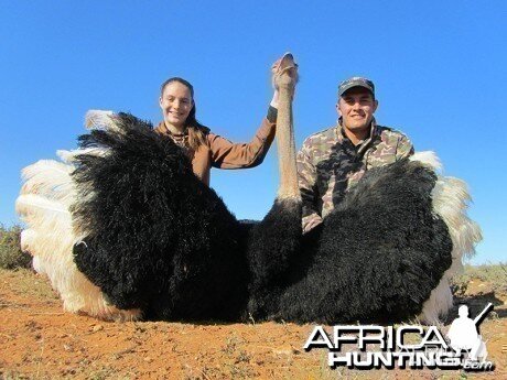 Ostrich hunt with Wintershoek Johnny Vivier Safaris