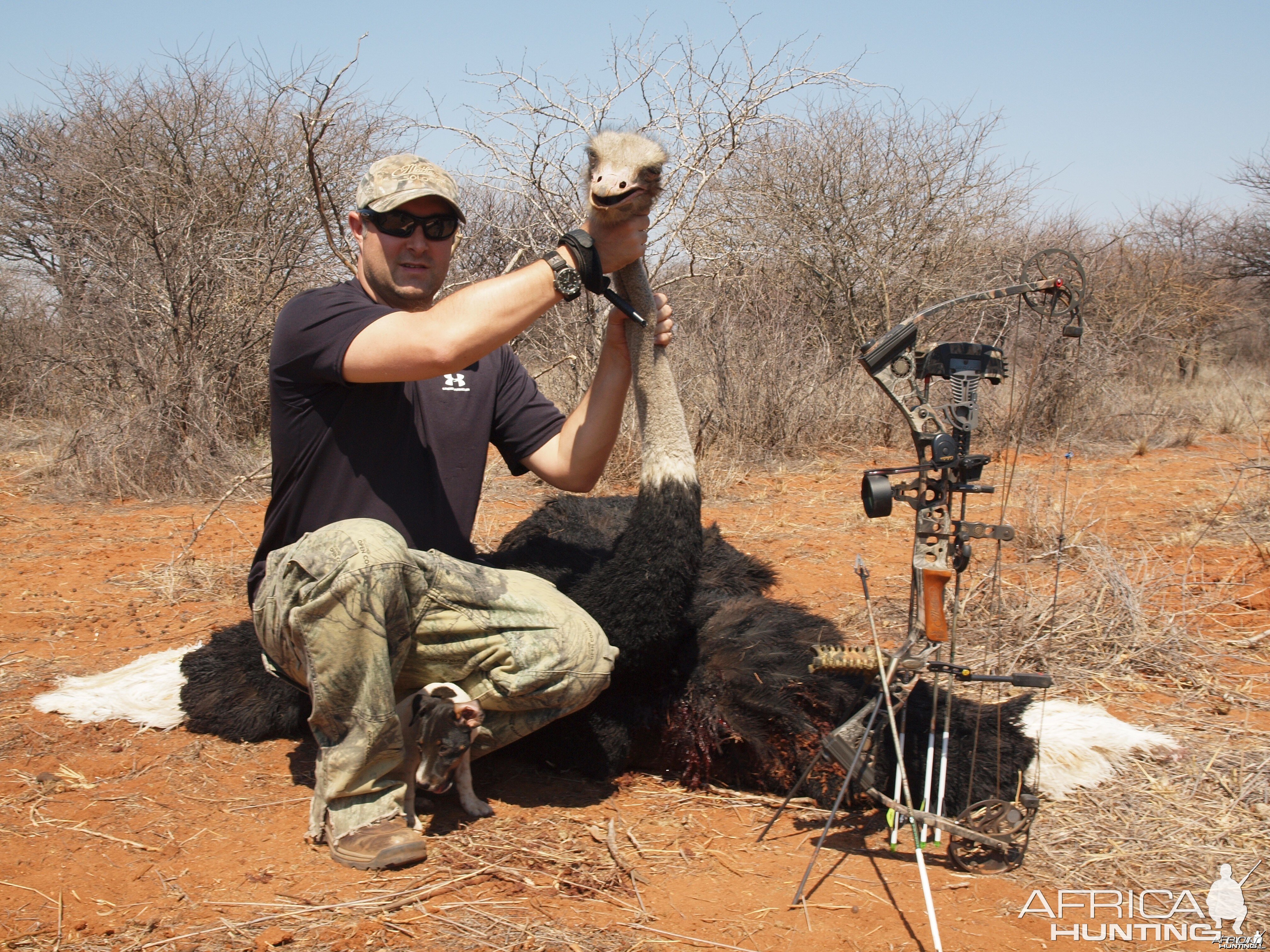 Ostrich hunted with Ozondjahe Hunting Safaris in Namibia