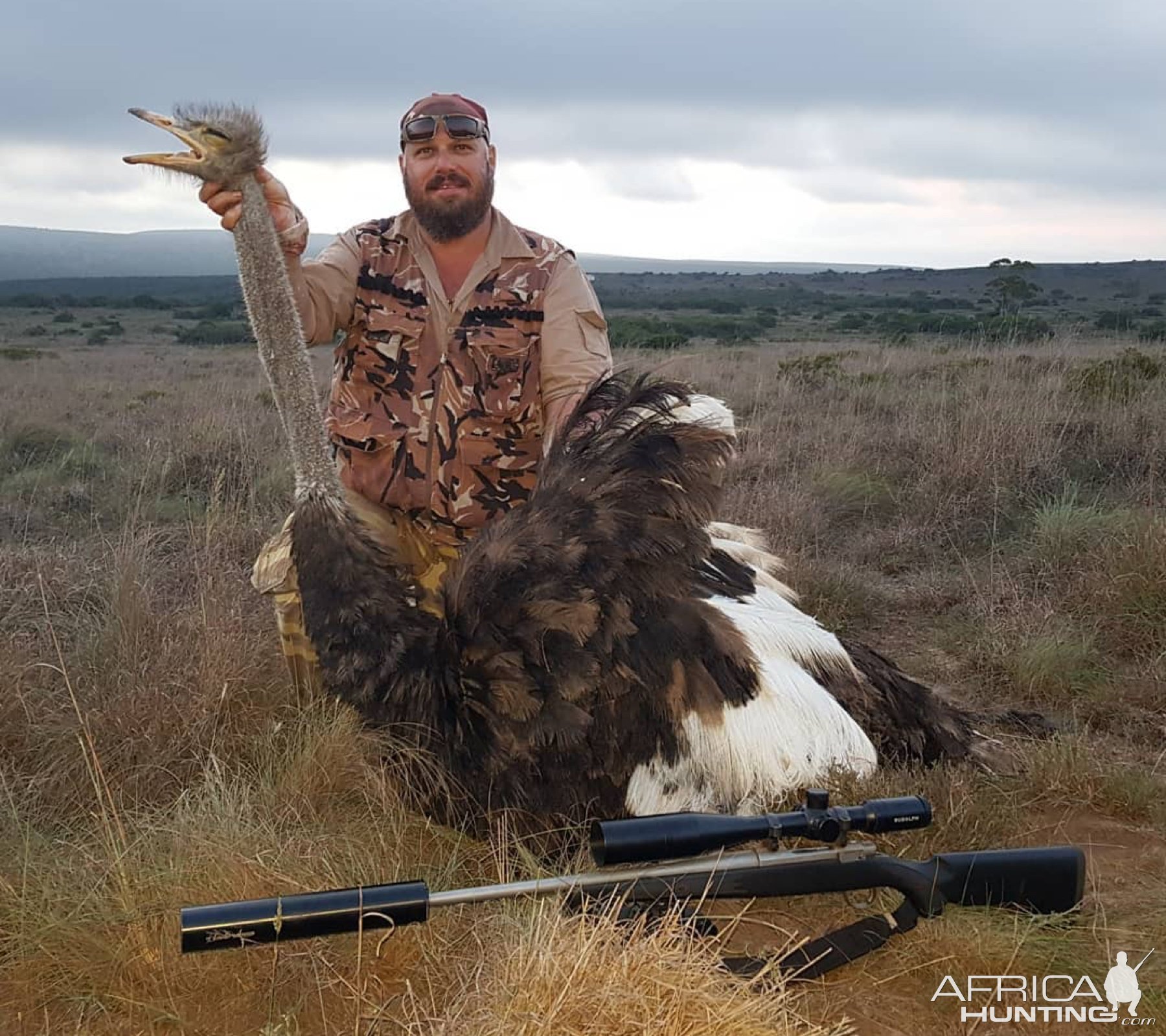 Ostrich Hunting Eastern Cape South Africa