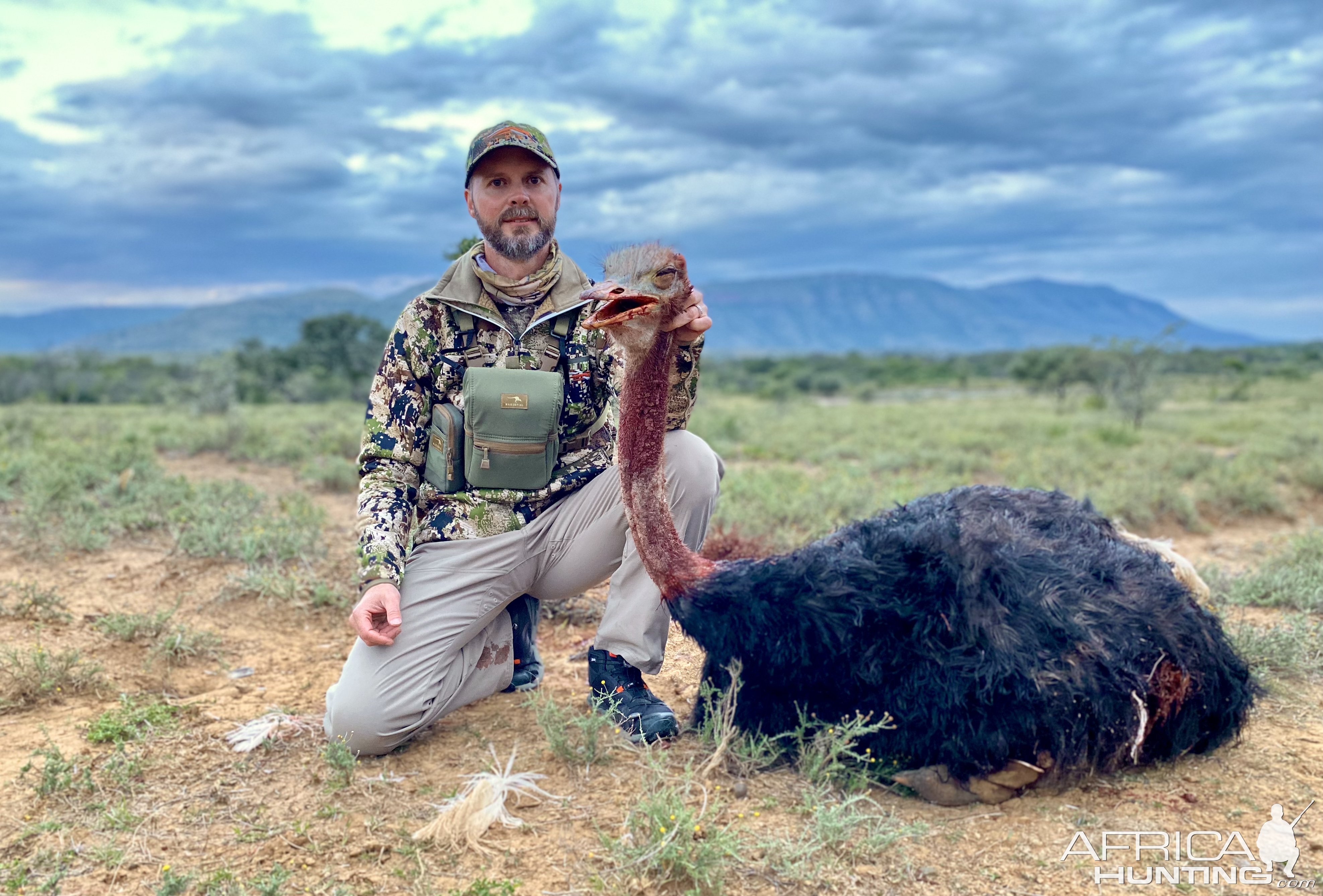 Ostrich Hunting Eastern Cape South Africa