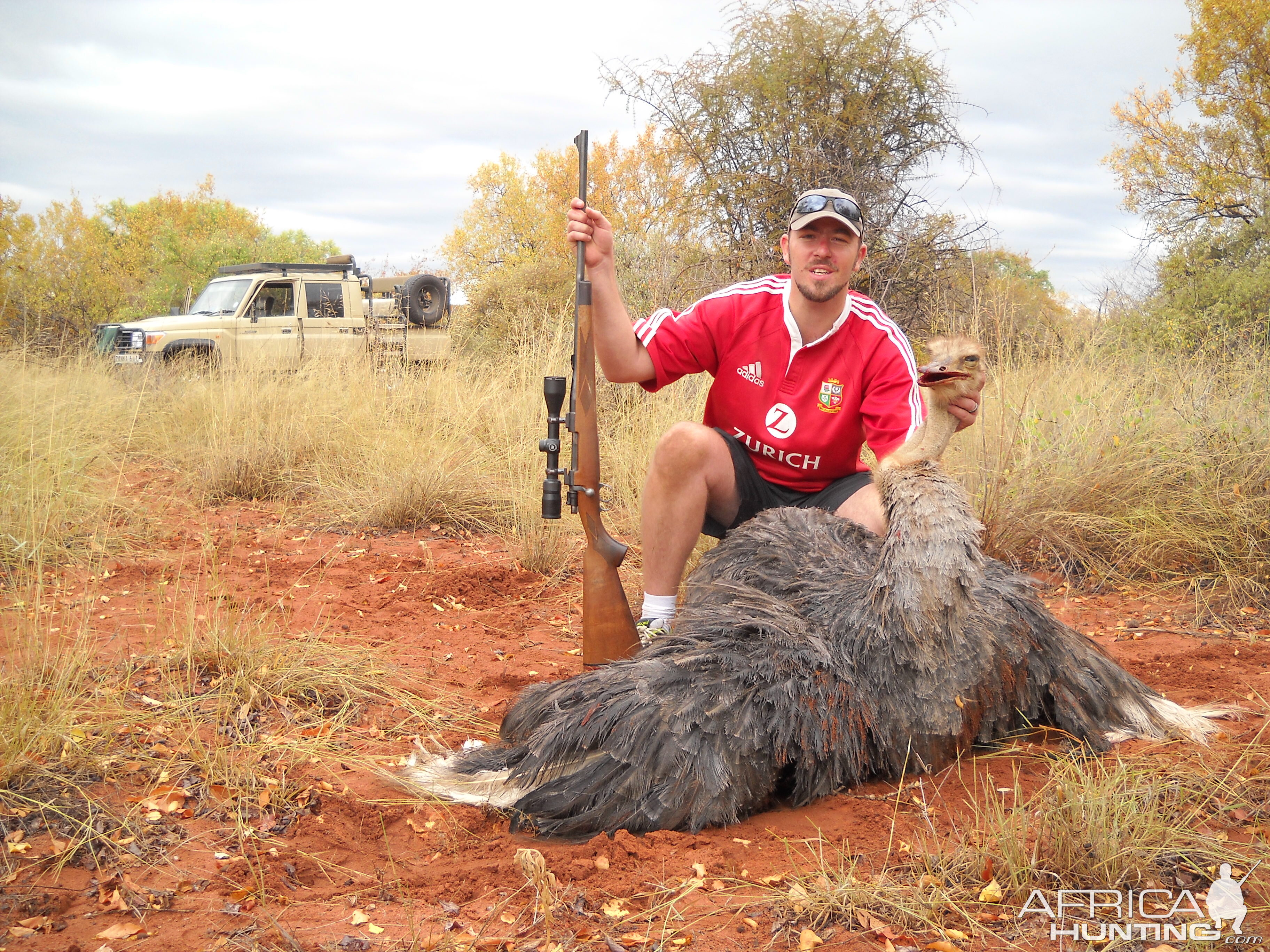 Ostrich Hunting